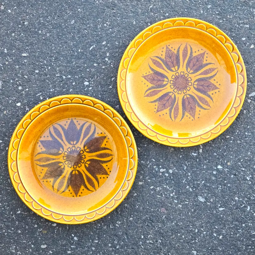 Homer Laughlin Golden Harvest Brown Floral Ceramic Plate set of 2 with Condition Issues Vintage