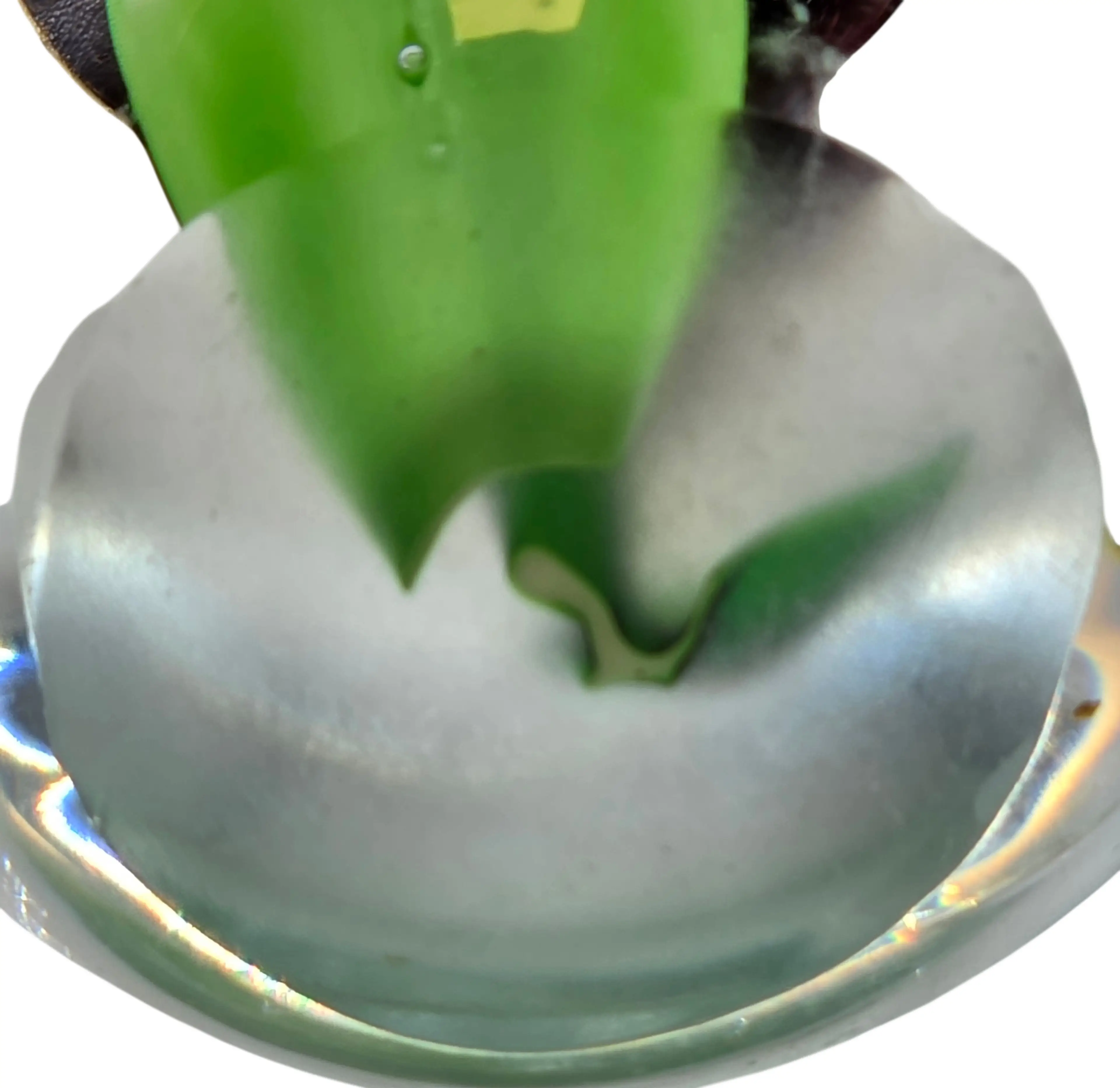 Image 4 of 6