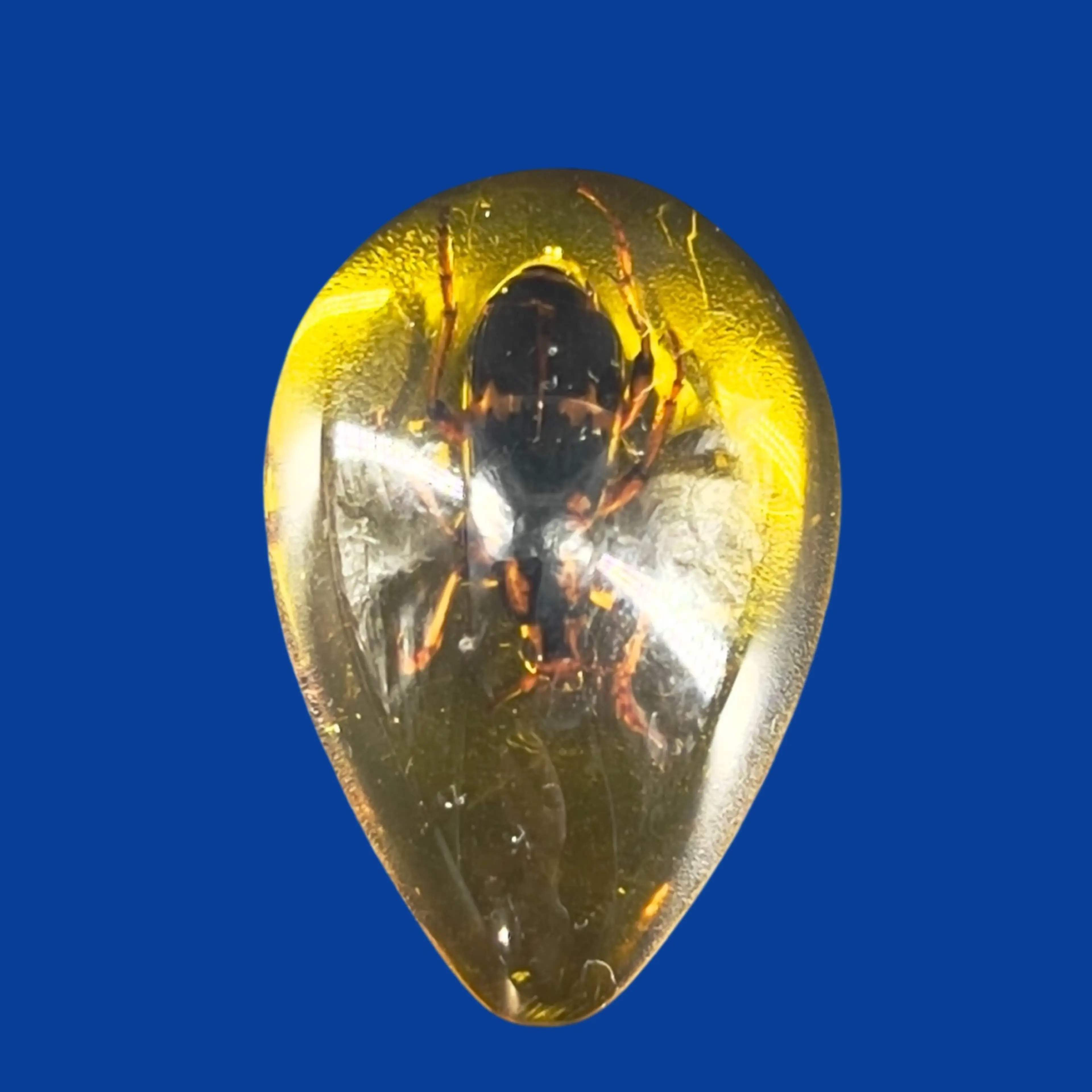 Image 2 of 14