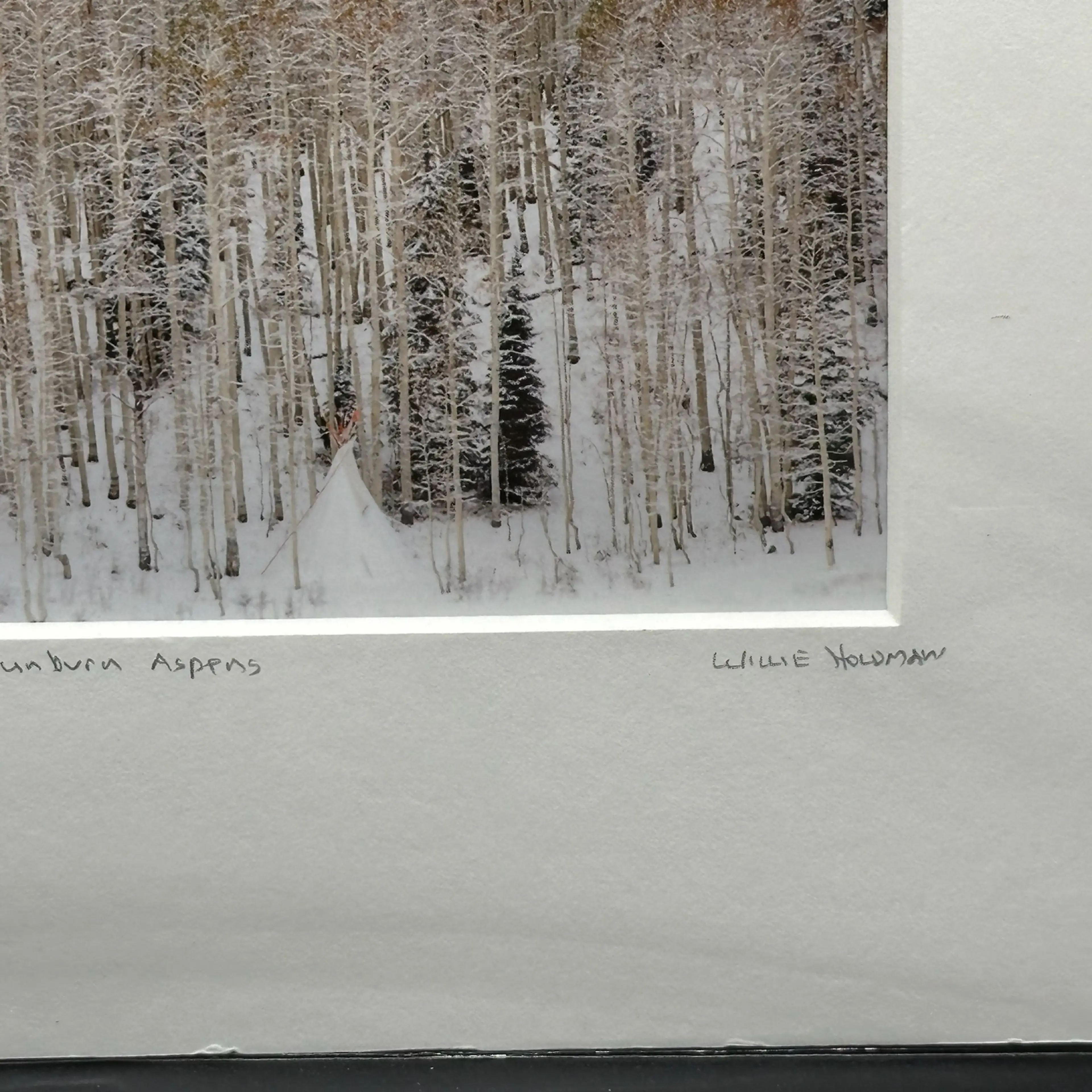 Image 3 of 6
