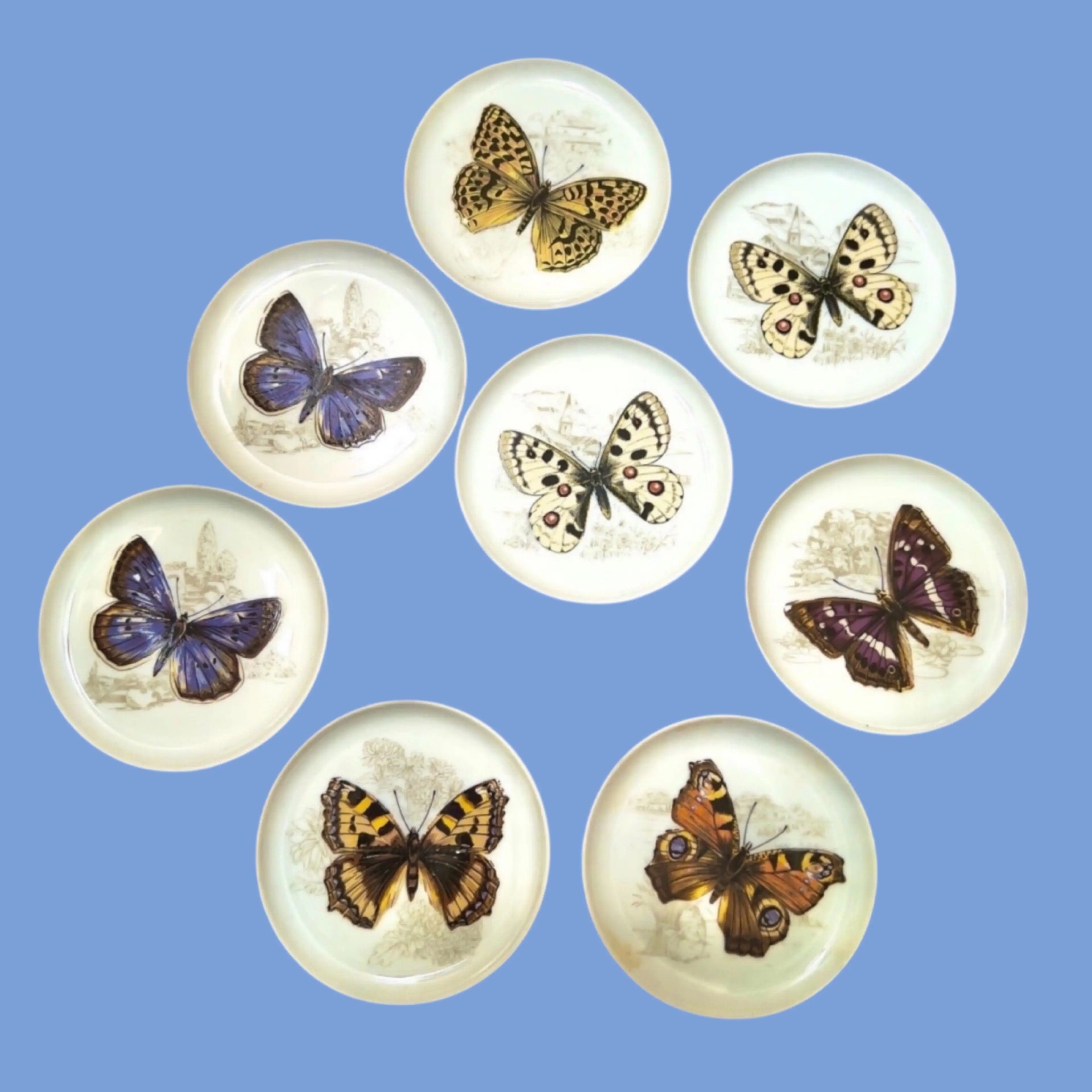 Image 1 of 13