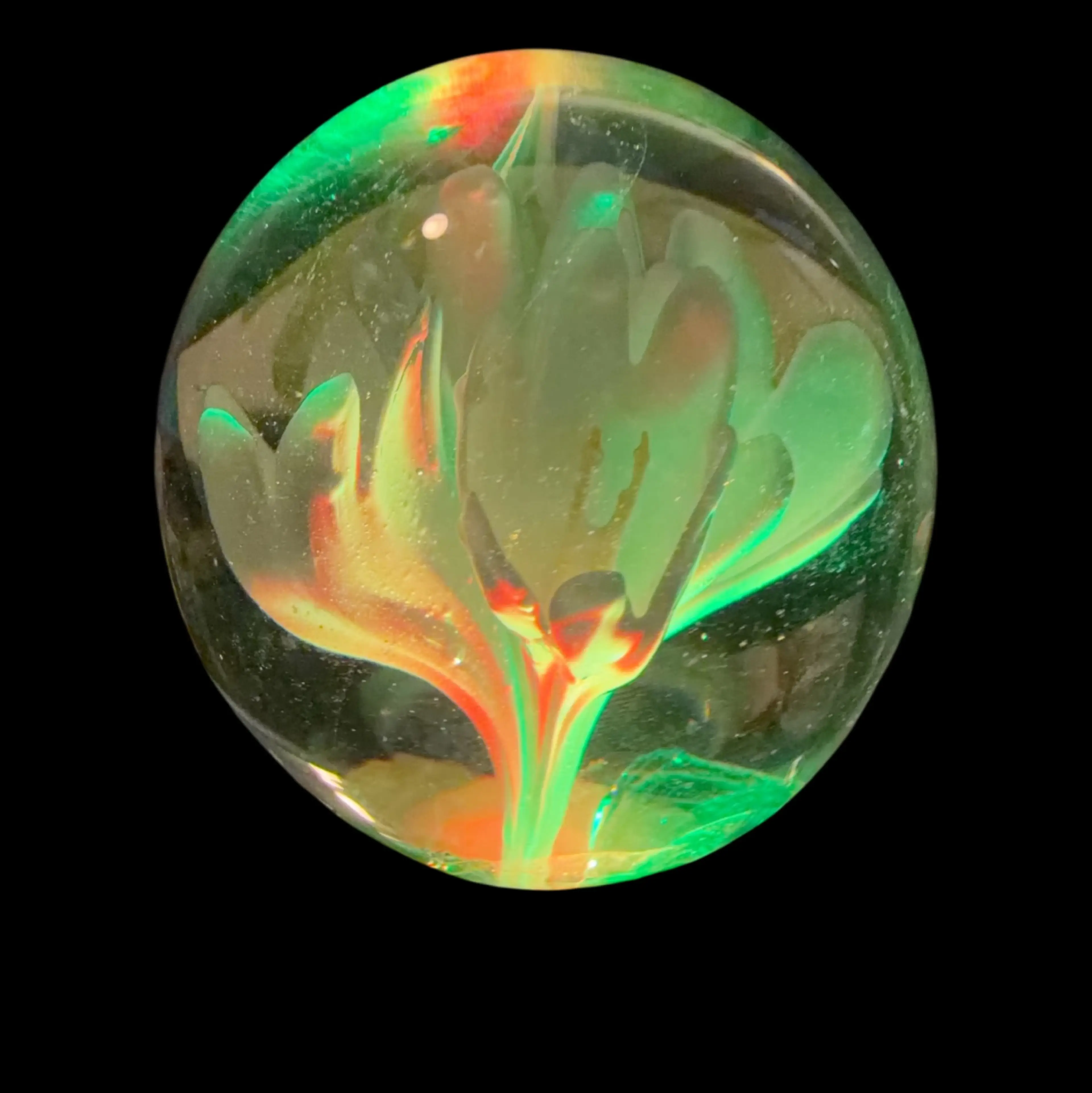 Image 4 of 6