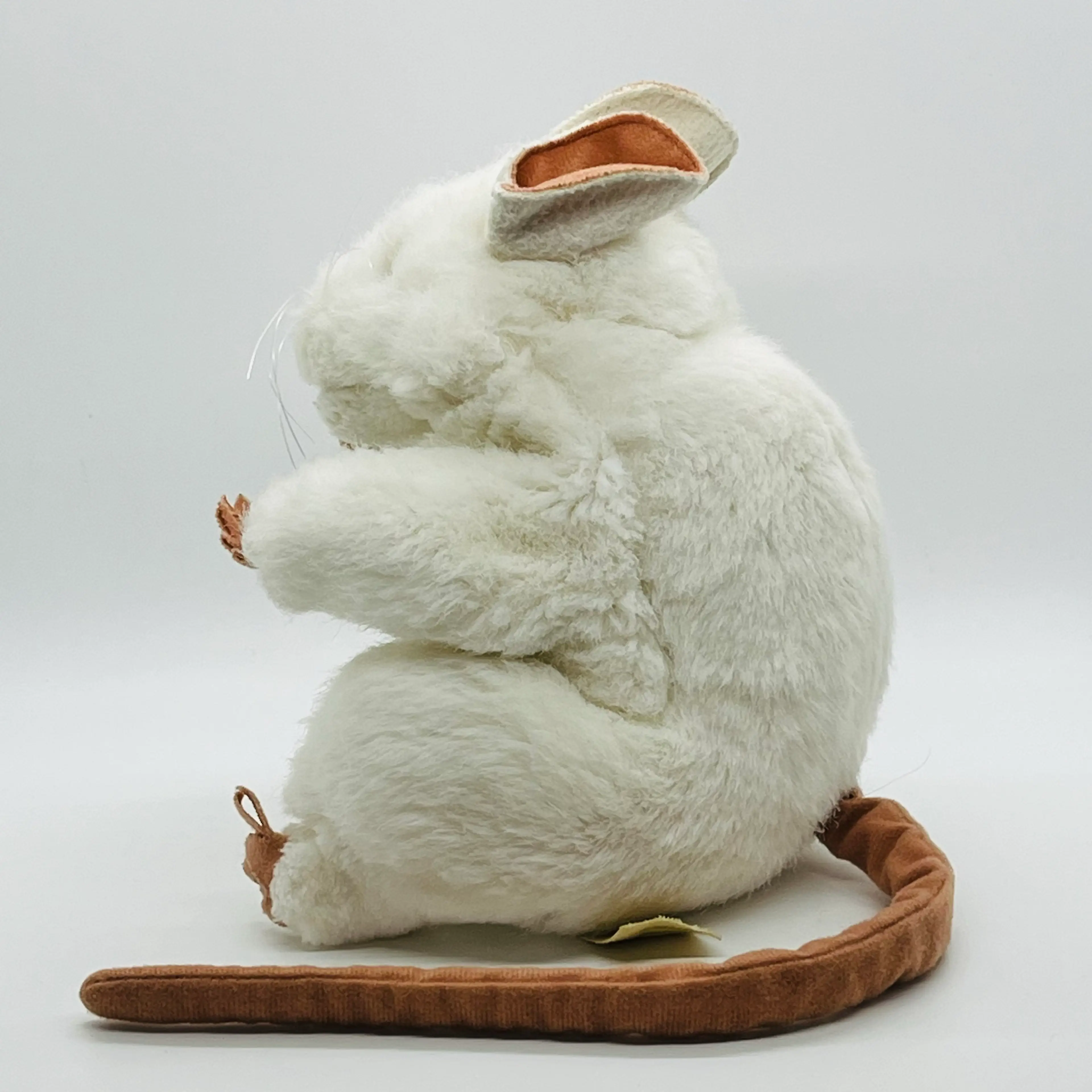 Image 4 of 12