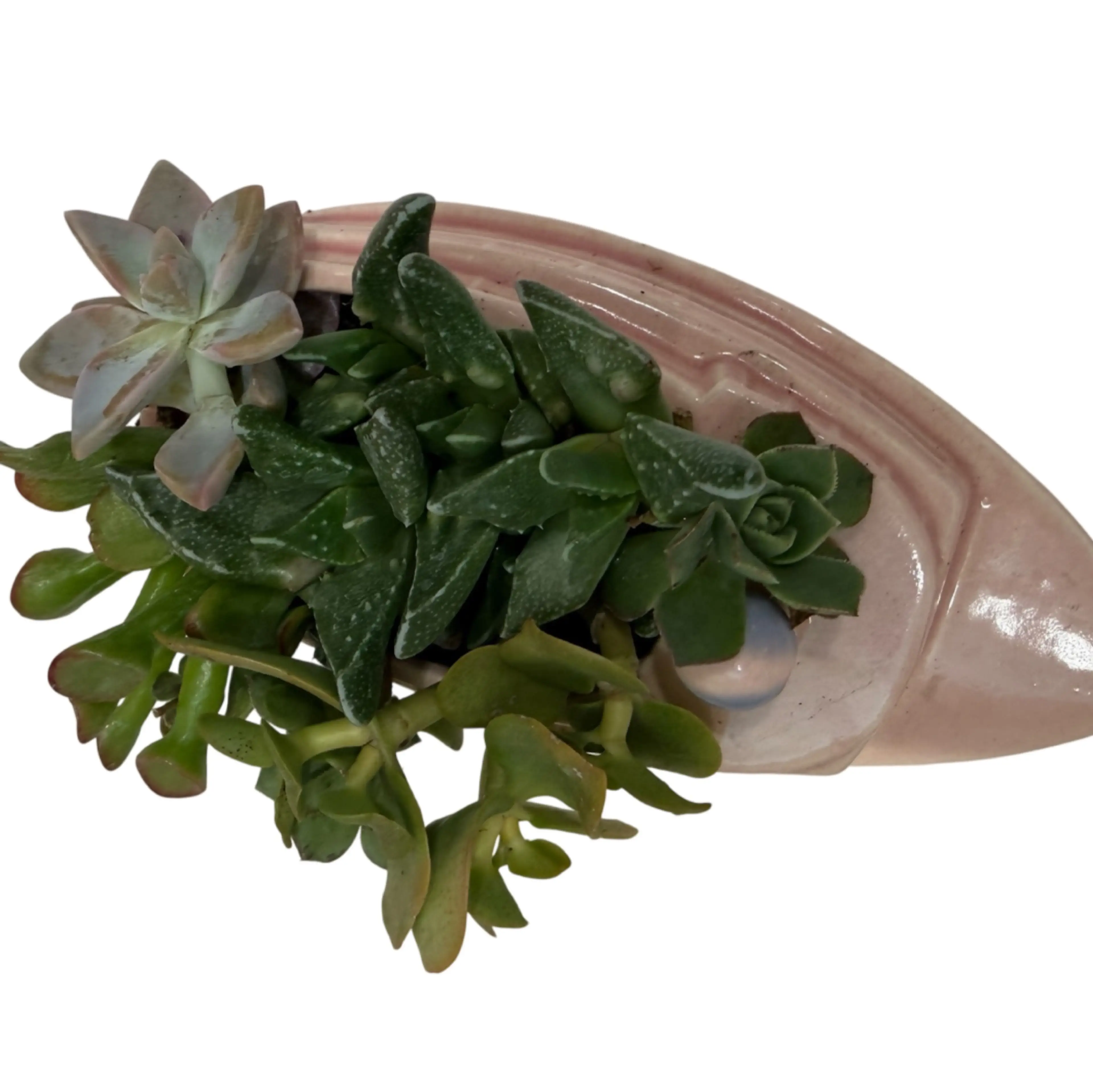 Image 4 of 5