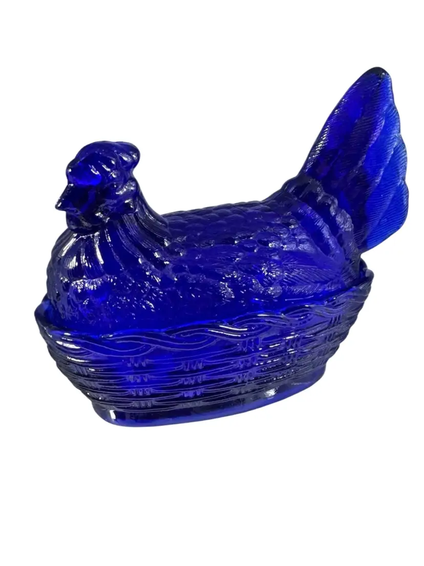 Cobalt Blue Hen On Nest