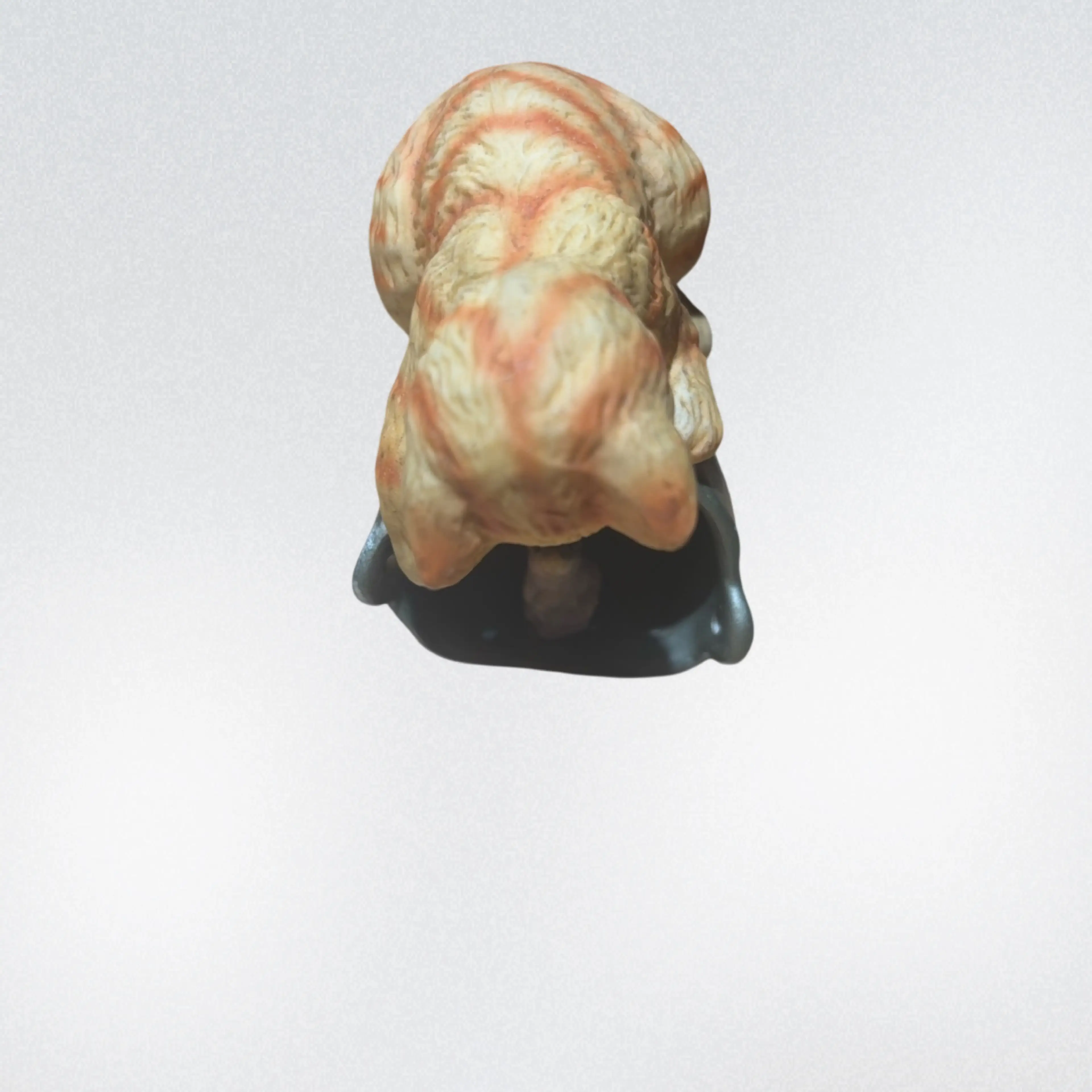 Image 3 of 5