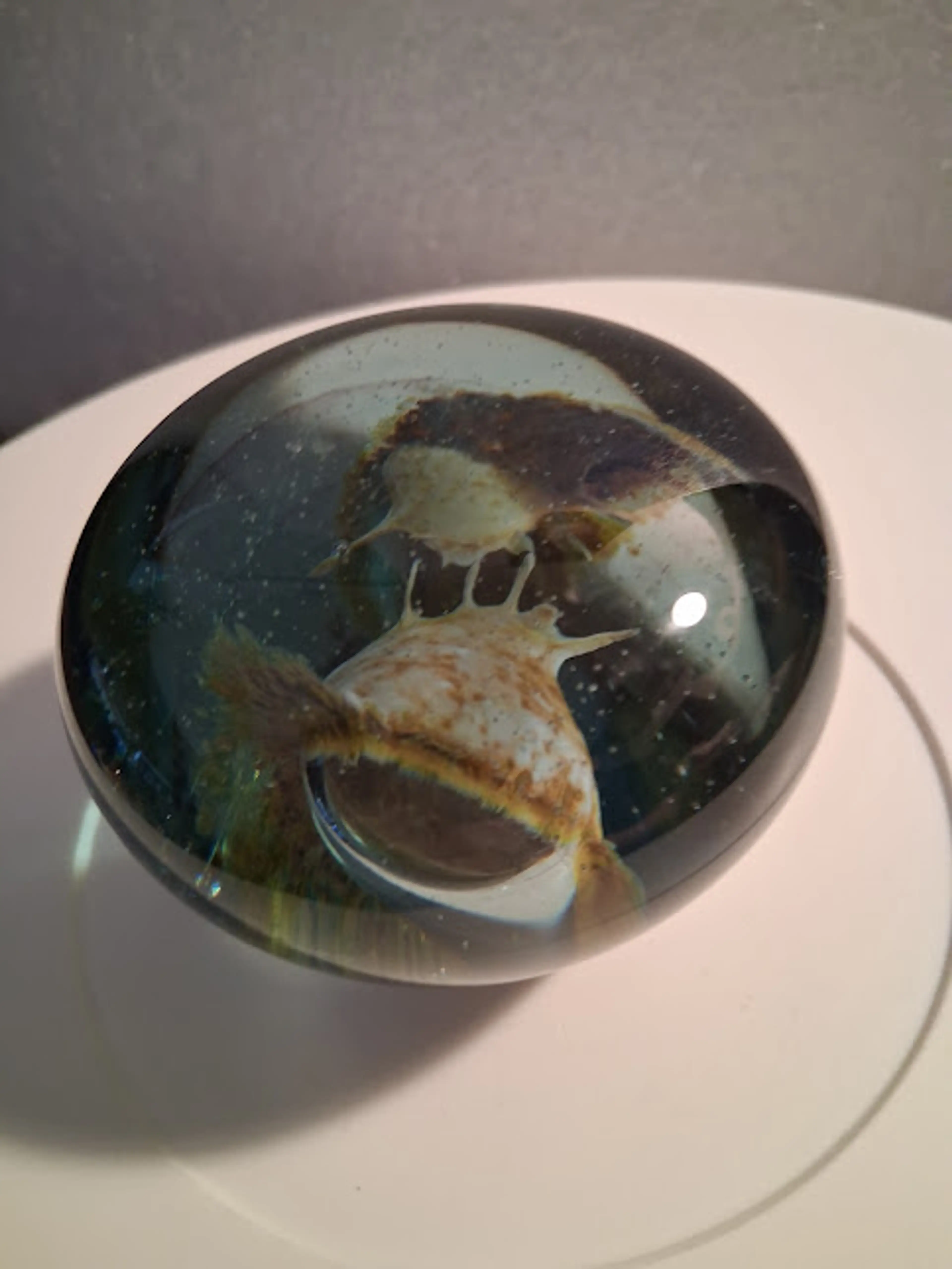 Image 2 of 8