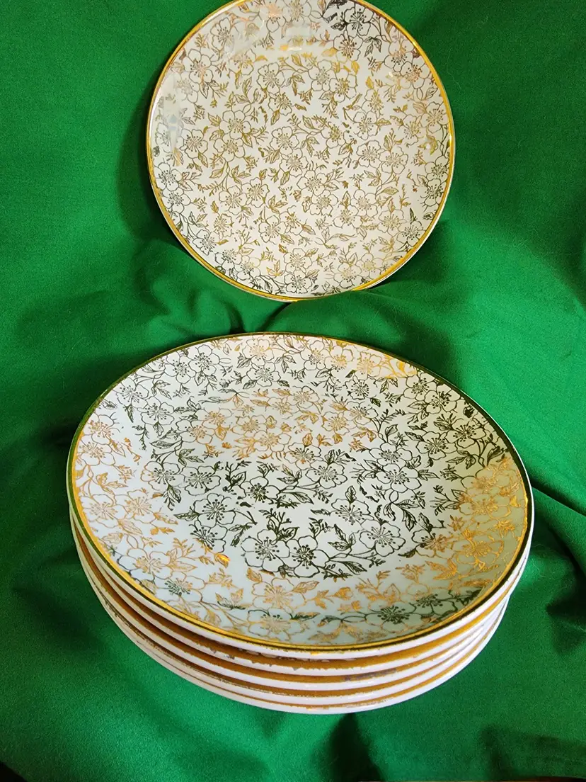 Vintage Floral Dinner Plates Set