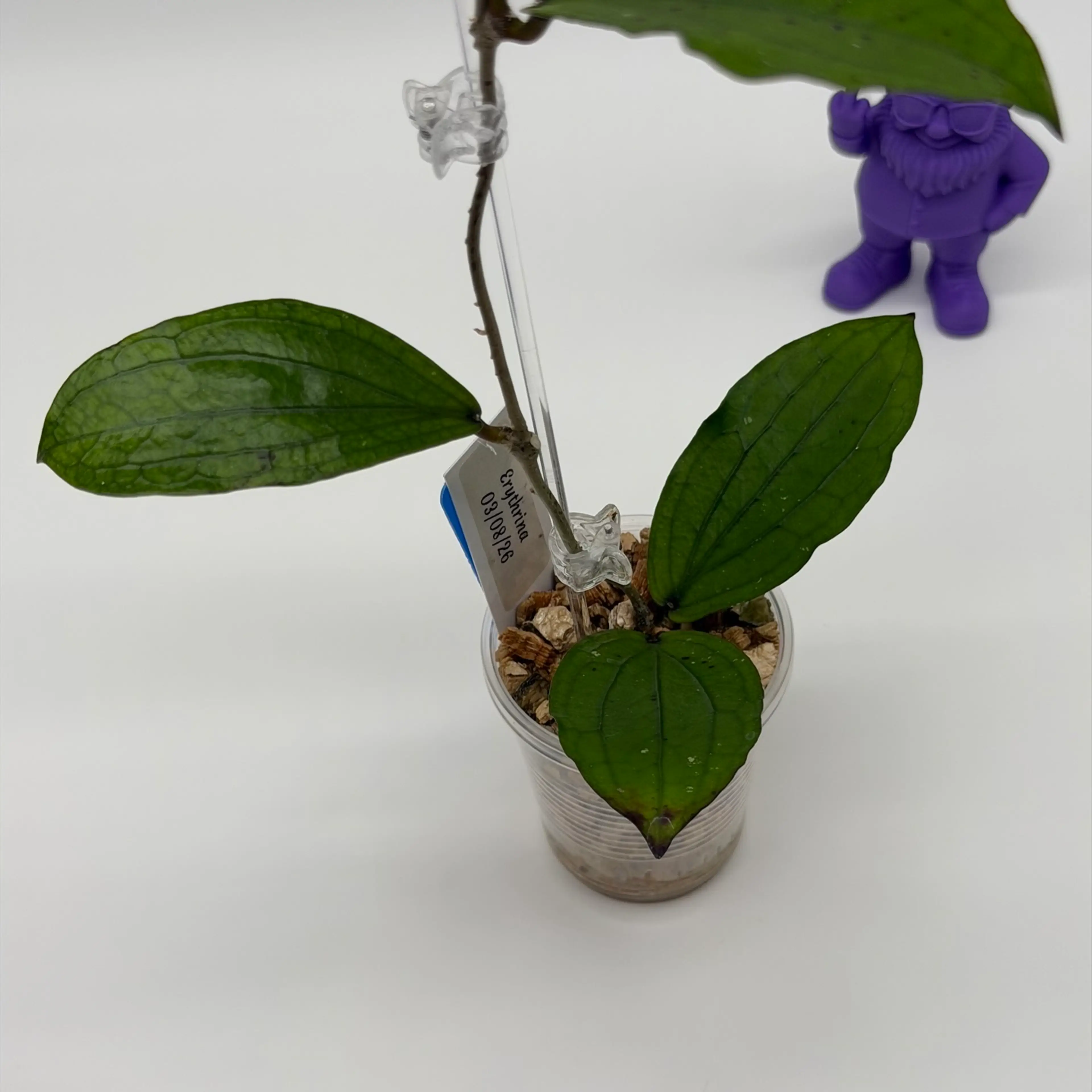 Image 3 of 3