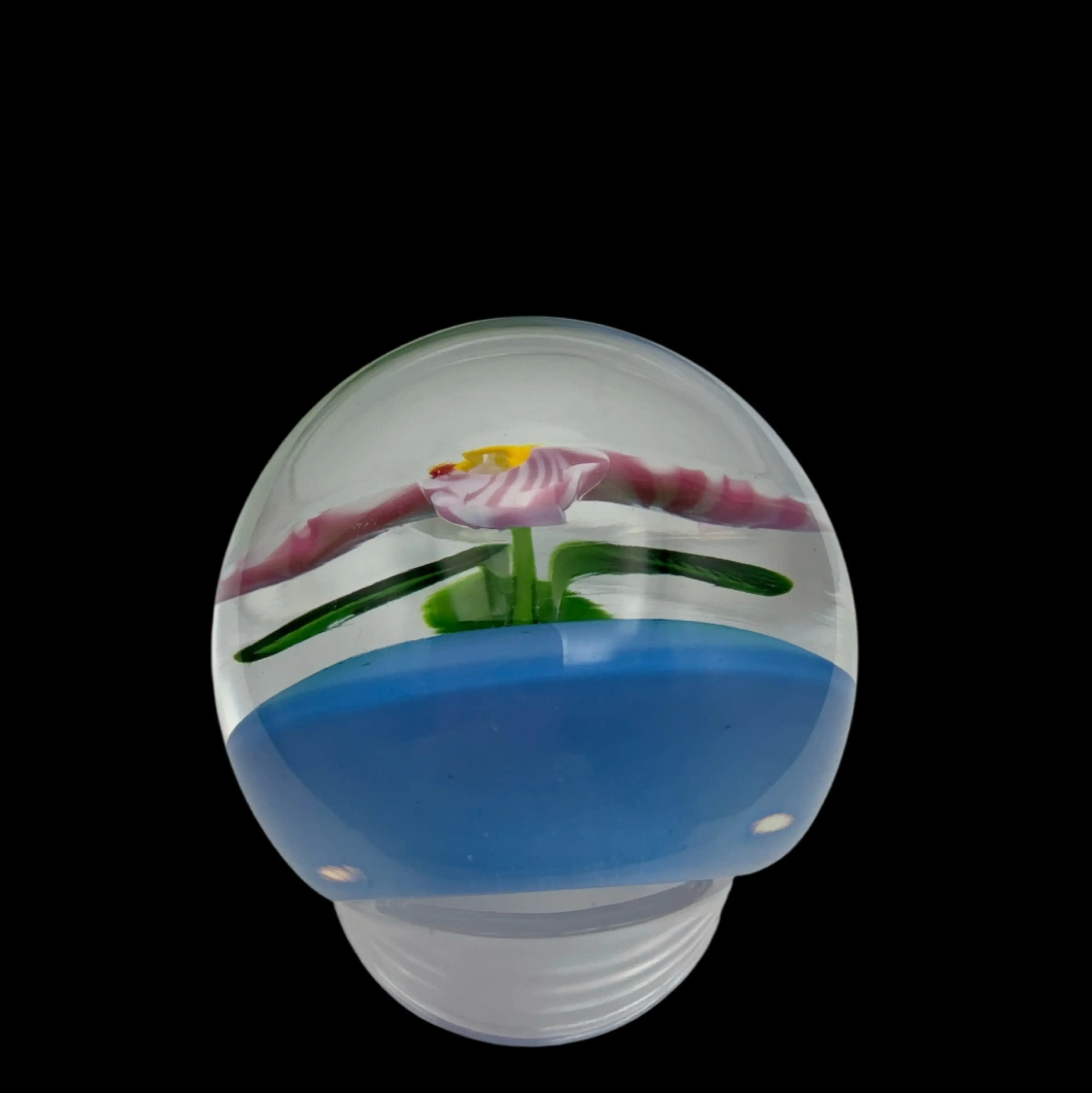 Image 4 of 5