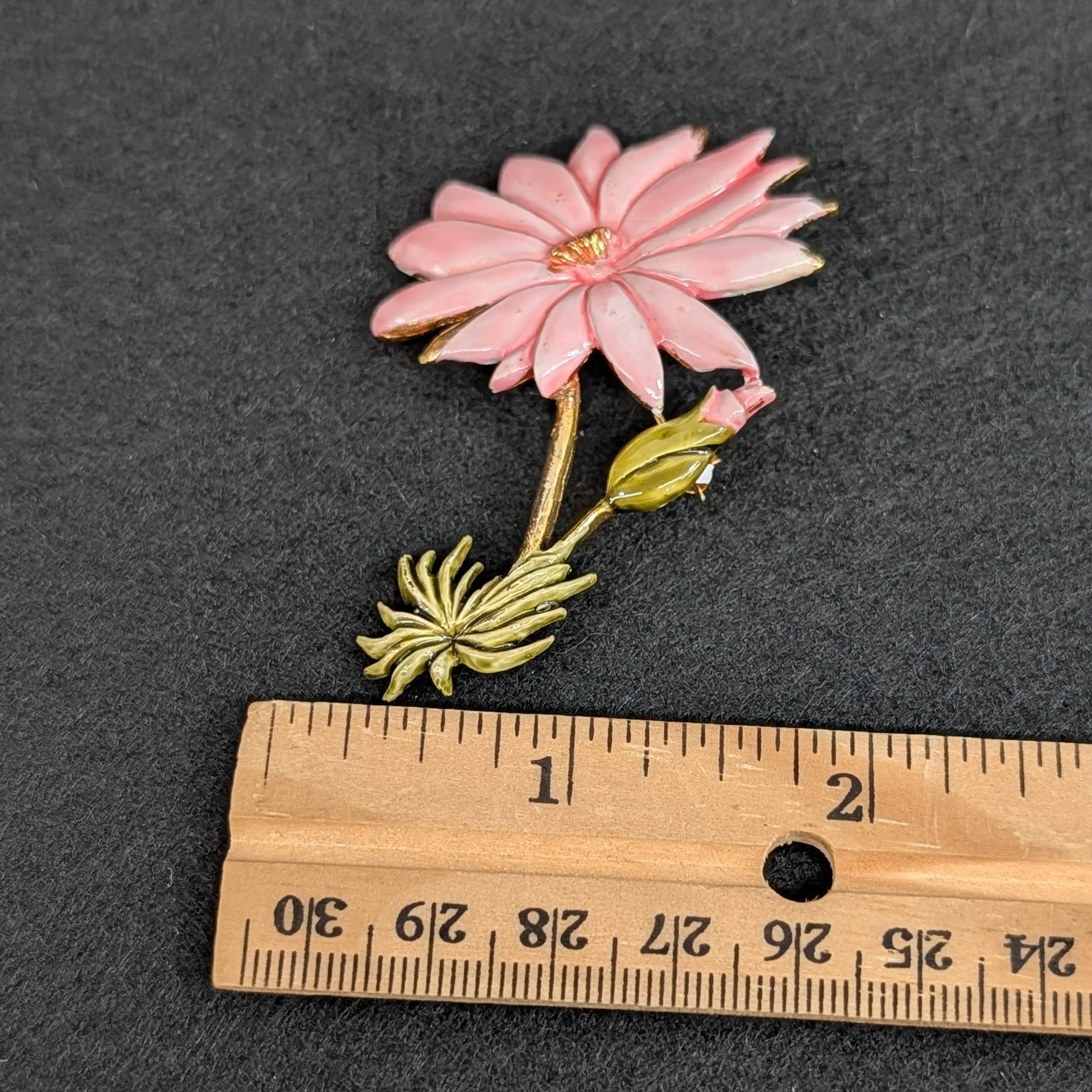 Image 5 of 6