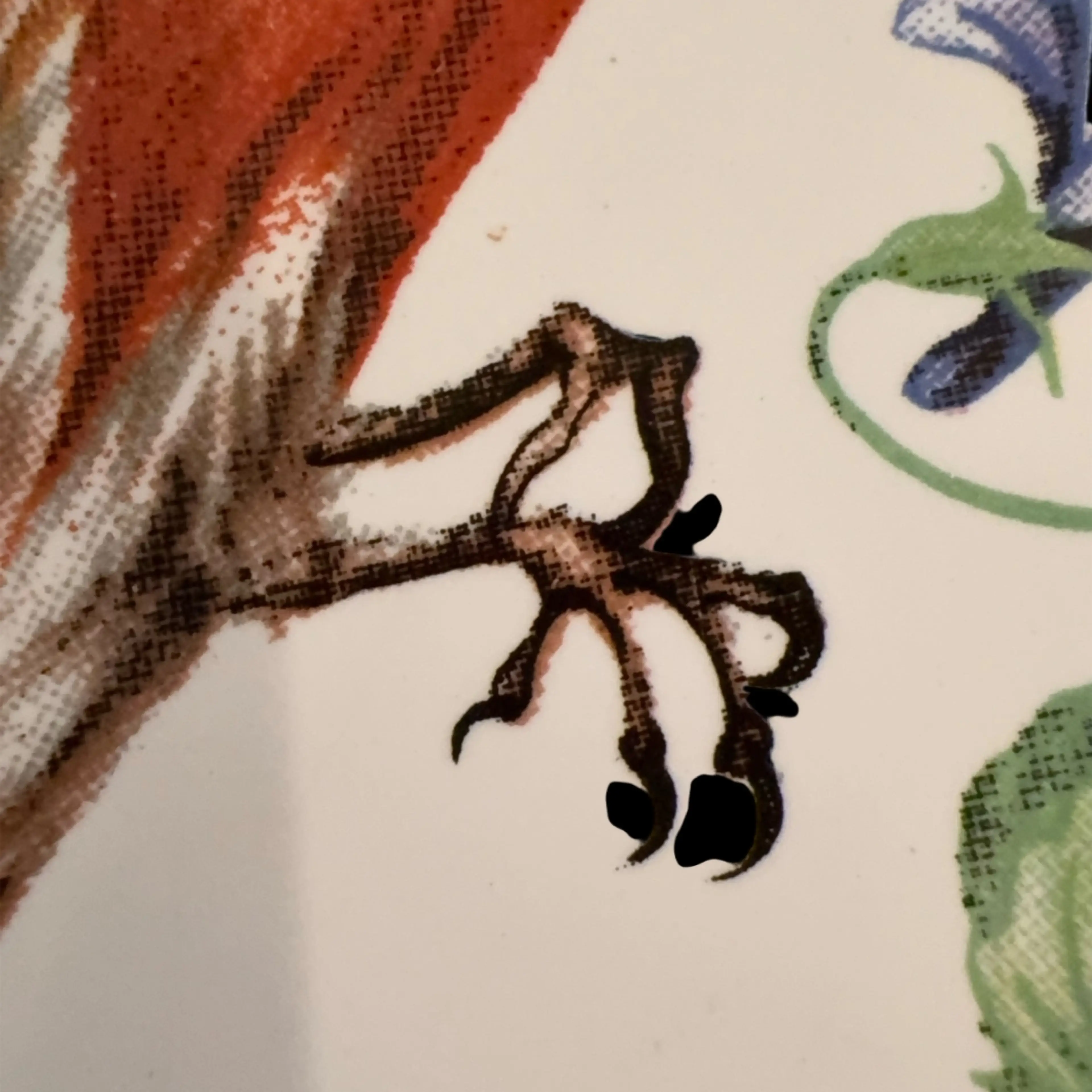 Image 2 of 6