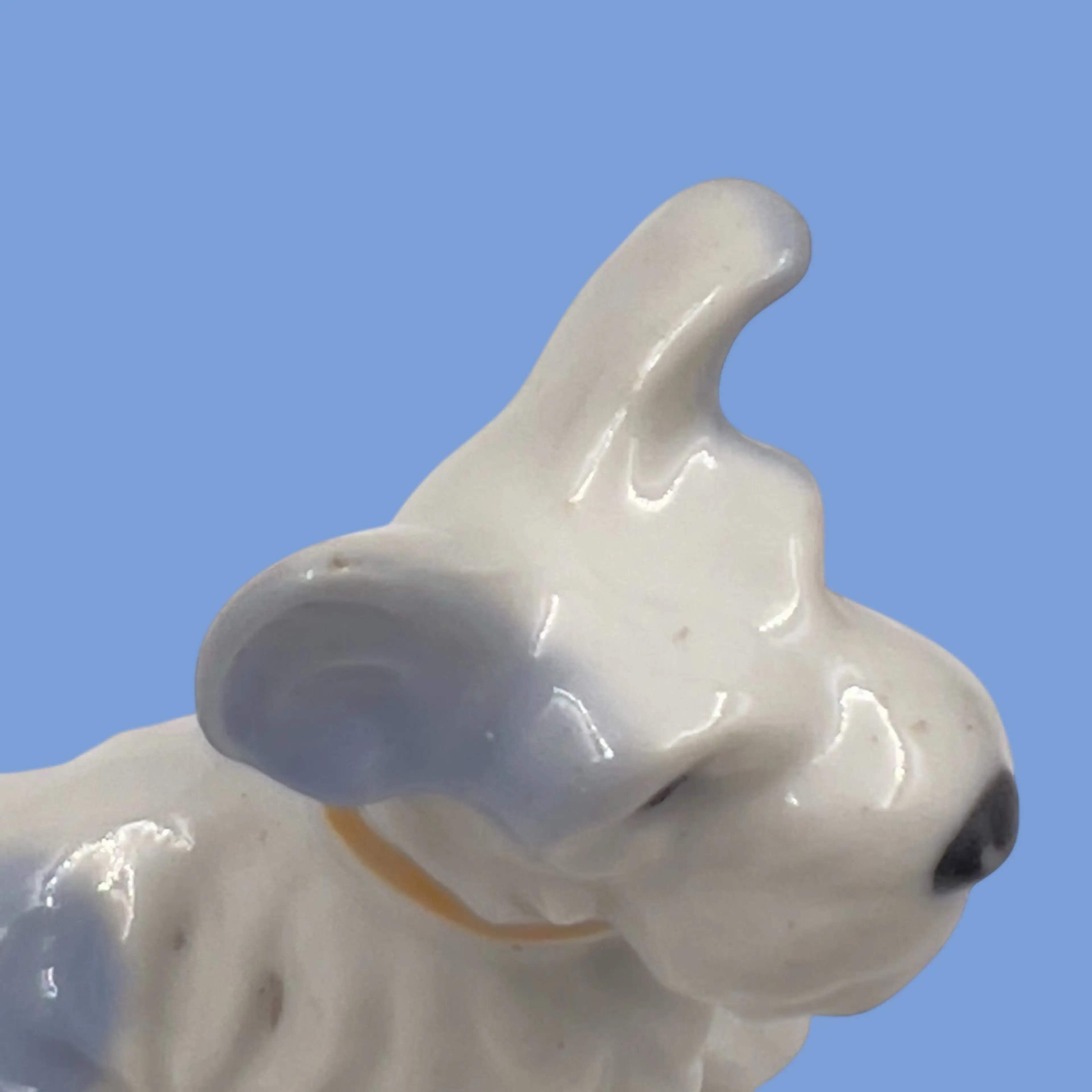 Image 4 of 6