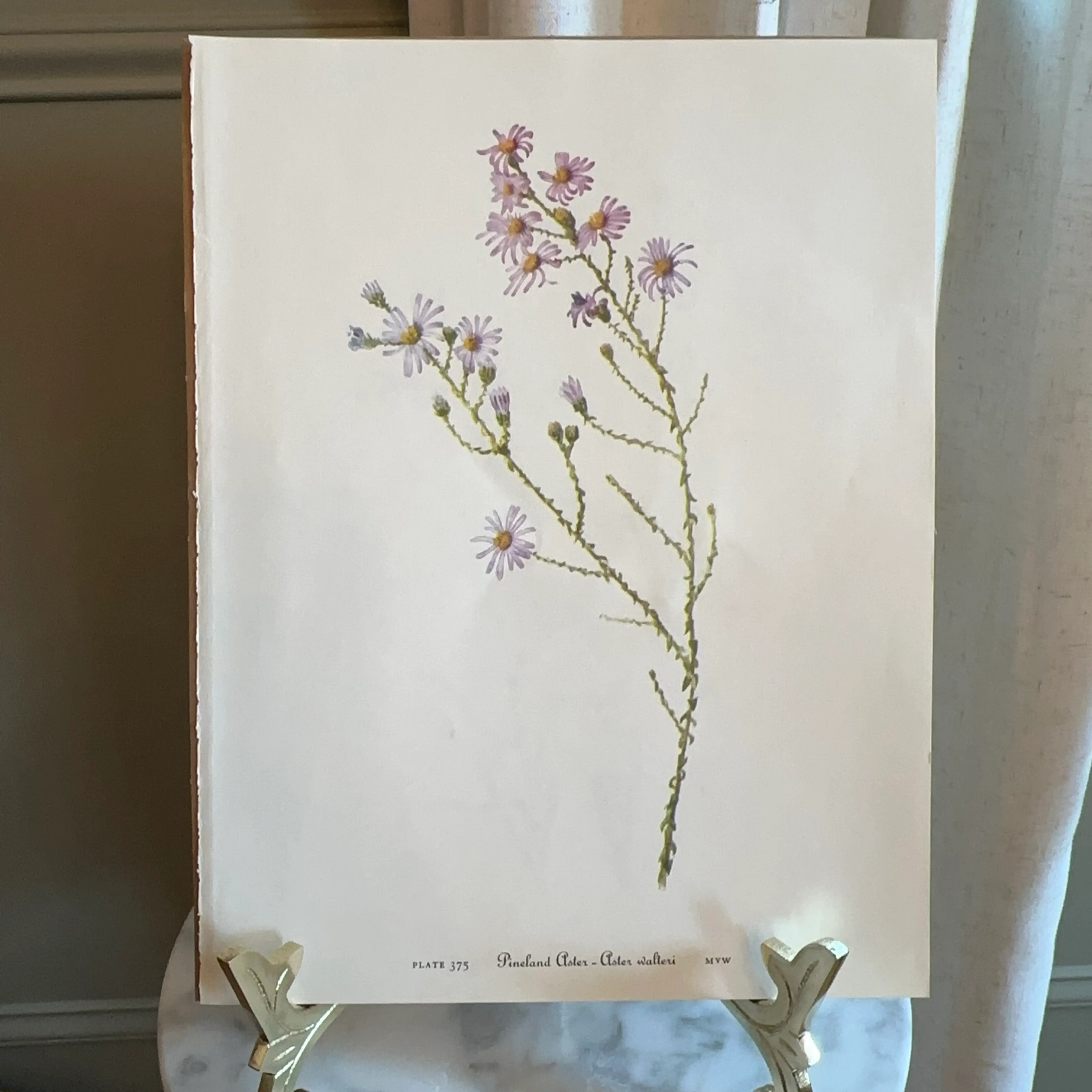 Image 2 of 2