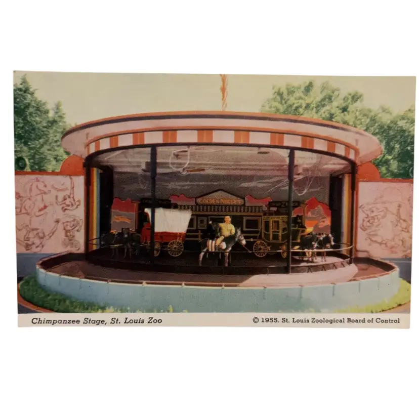 1950s Chimpanzee Stage St. Louis Zoo Postcard