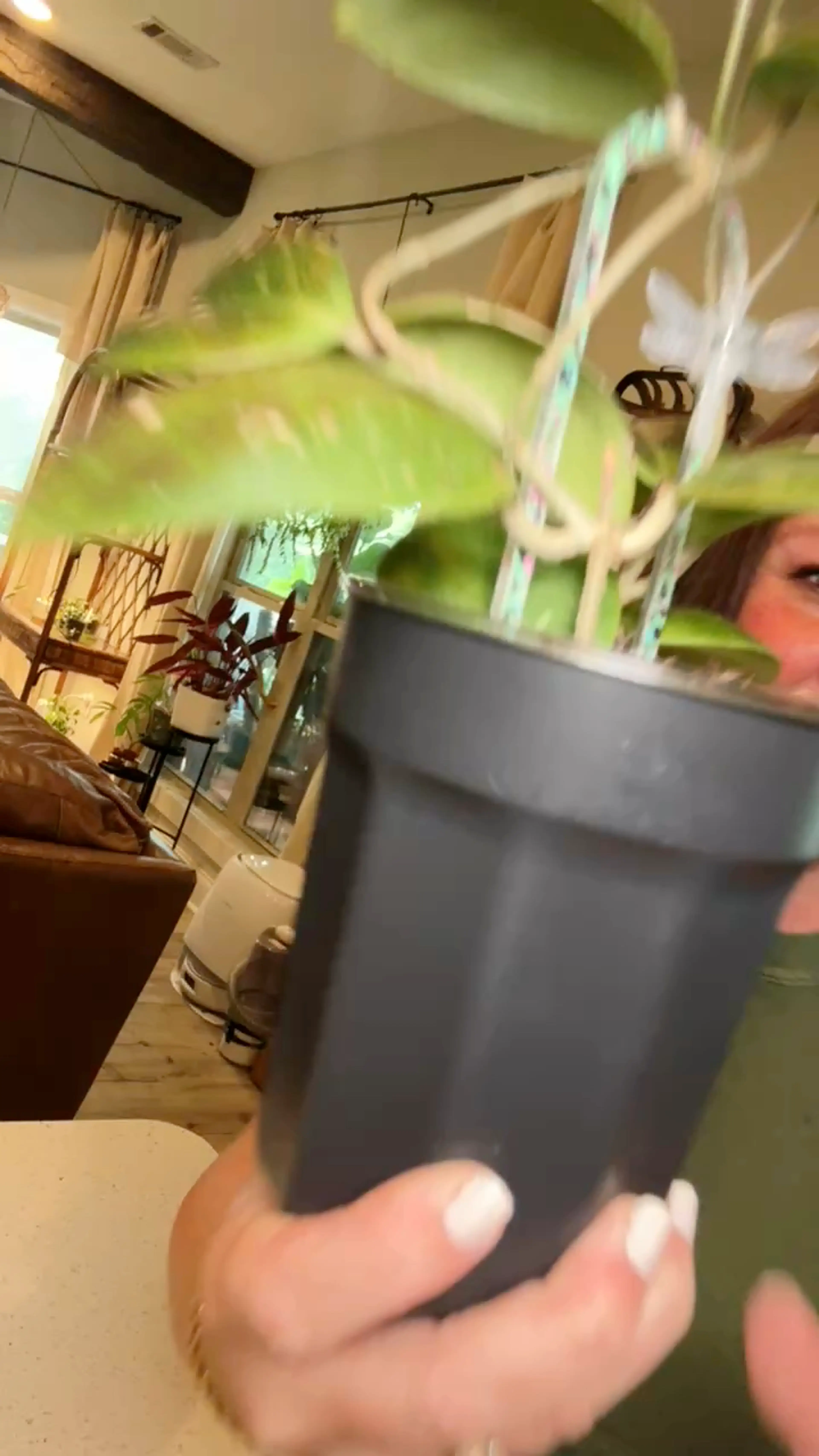 Video 1 of 1