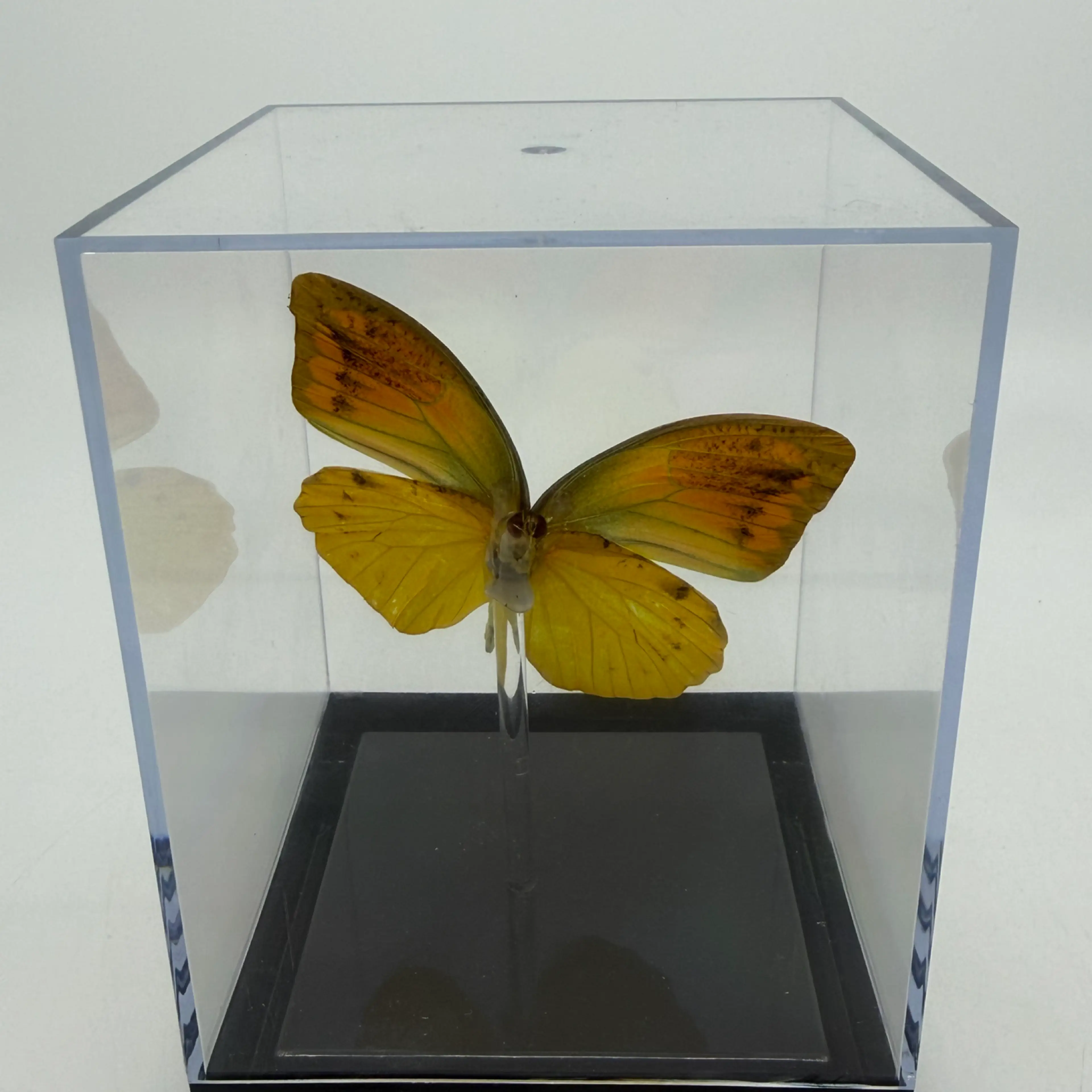 Image 4 of 8