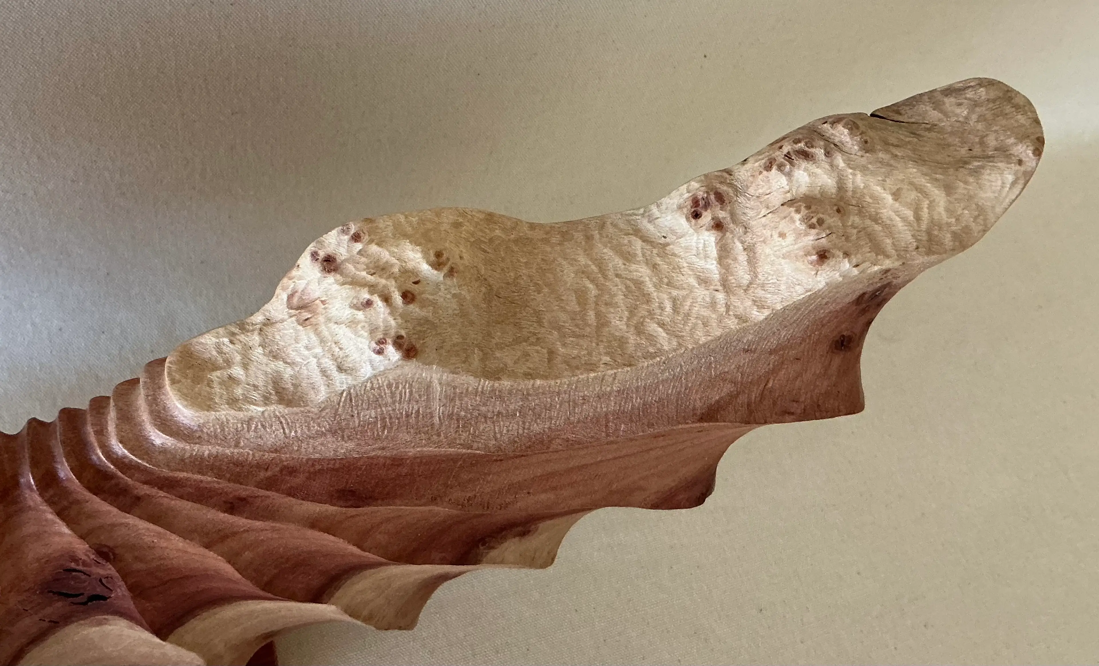 Image 3 of 5
