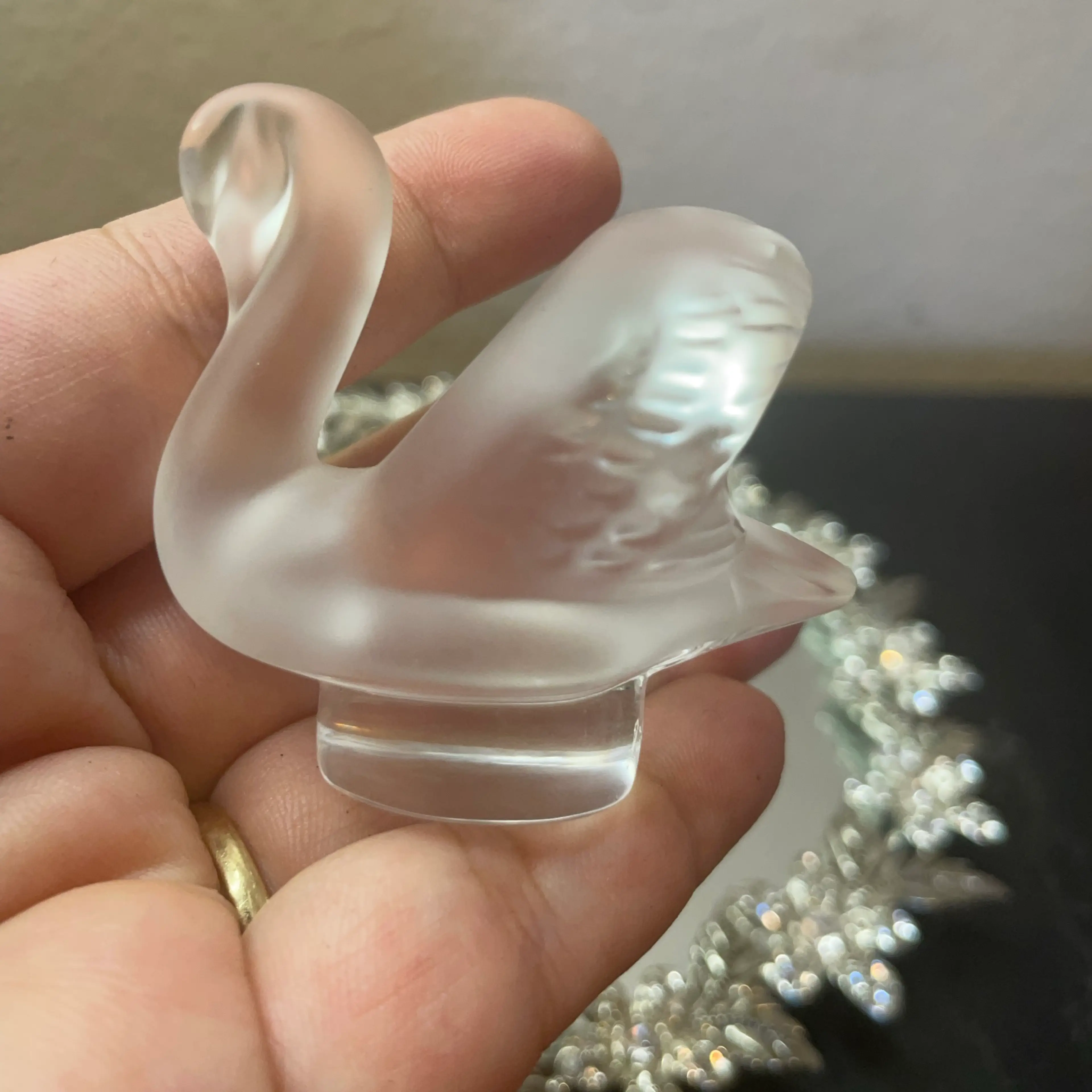 Image 5 of 5