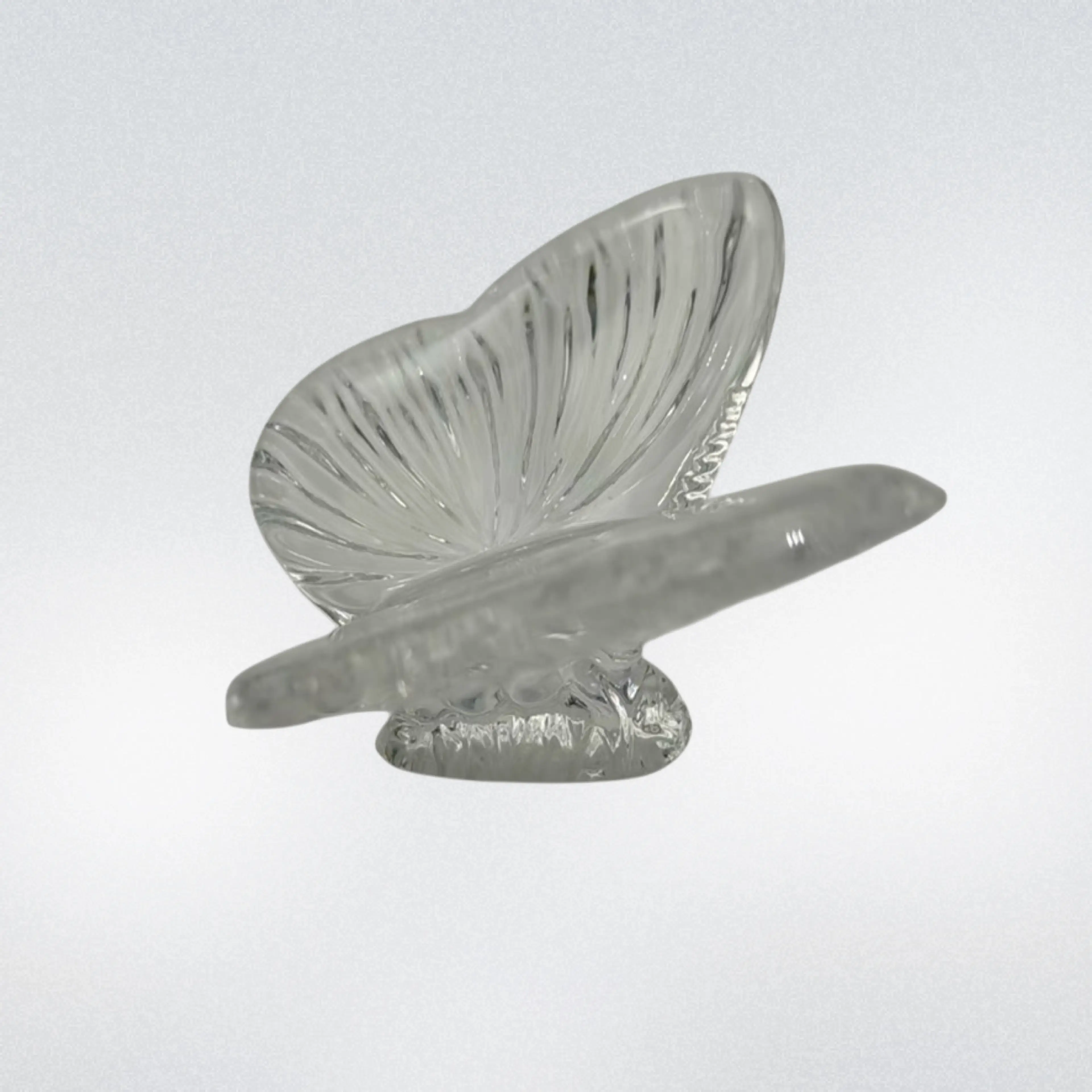 Image 5 of 8