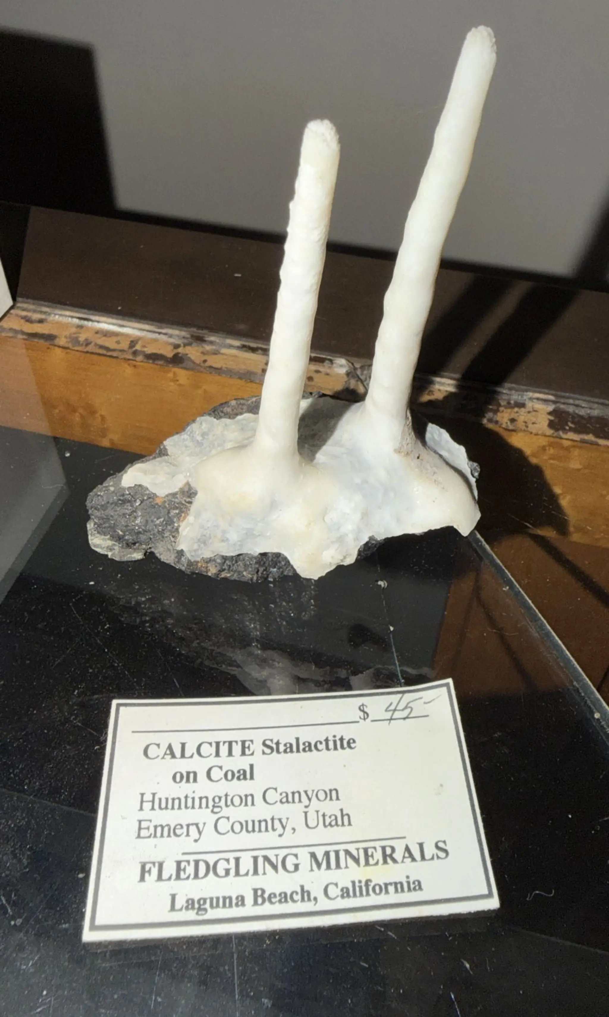Calcite stalactite on coal with its original display label