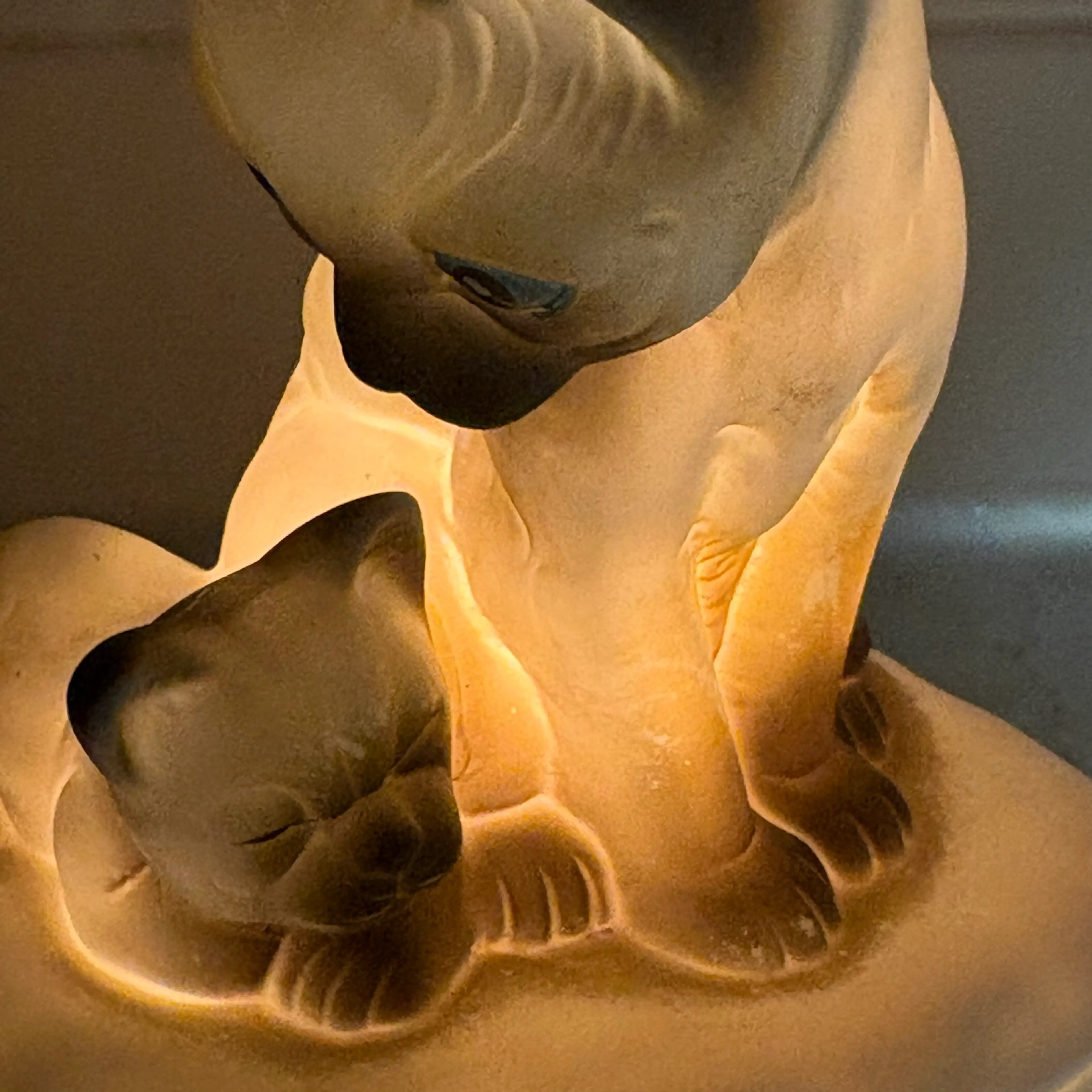 Image 4 of 9