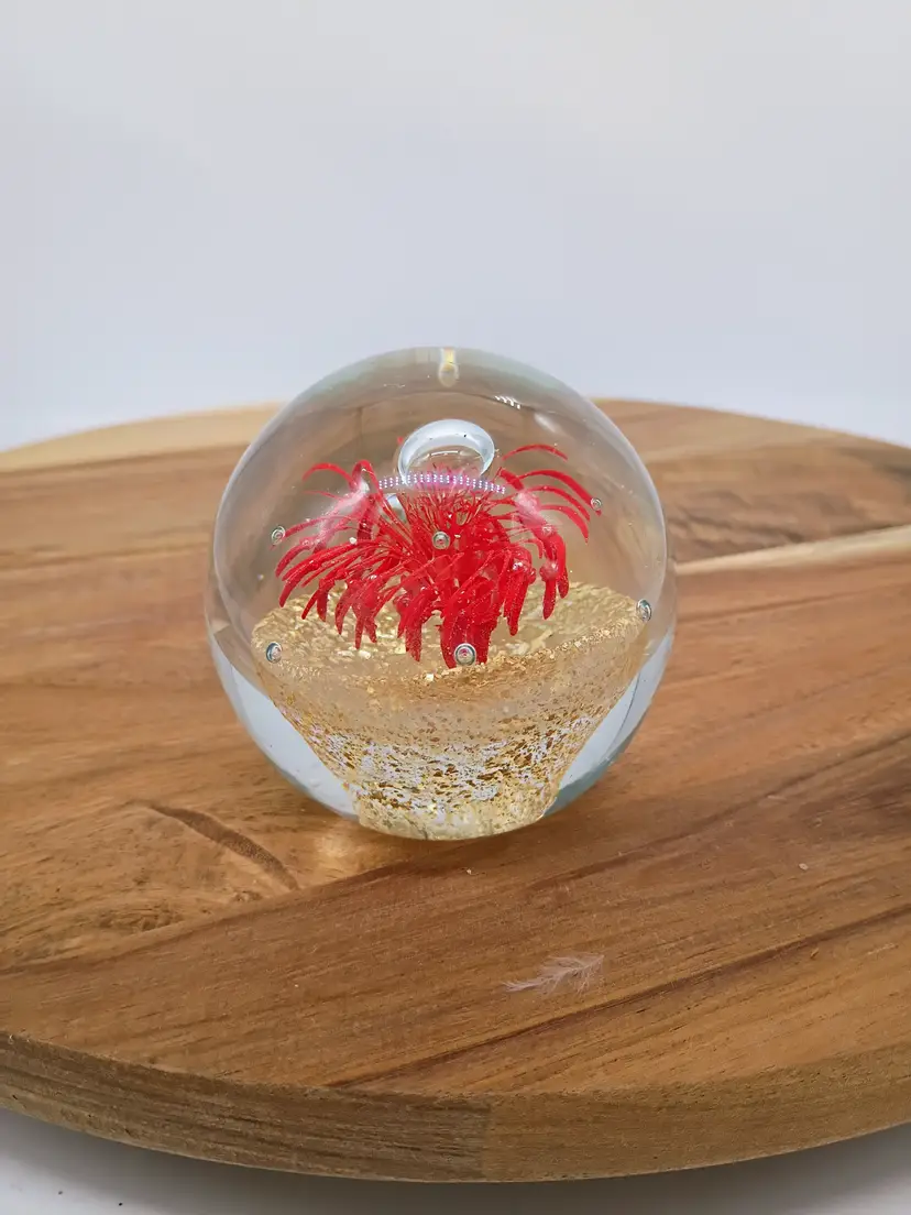 Hand Blown Art Glass Paperweight Red Flower Sea Anemone Gold Aventurine Base.