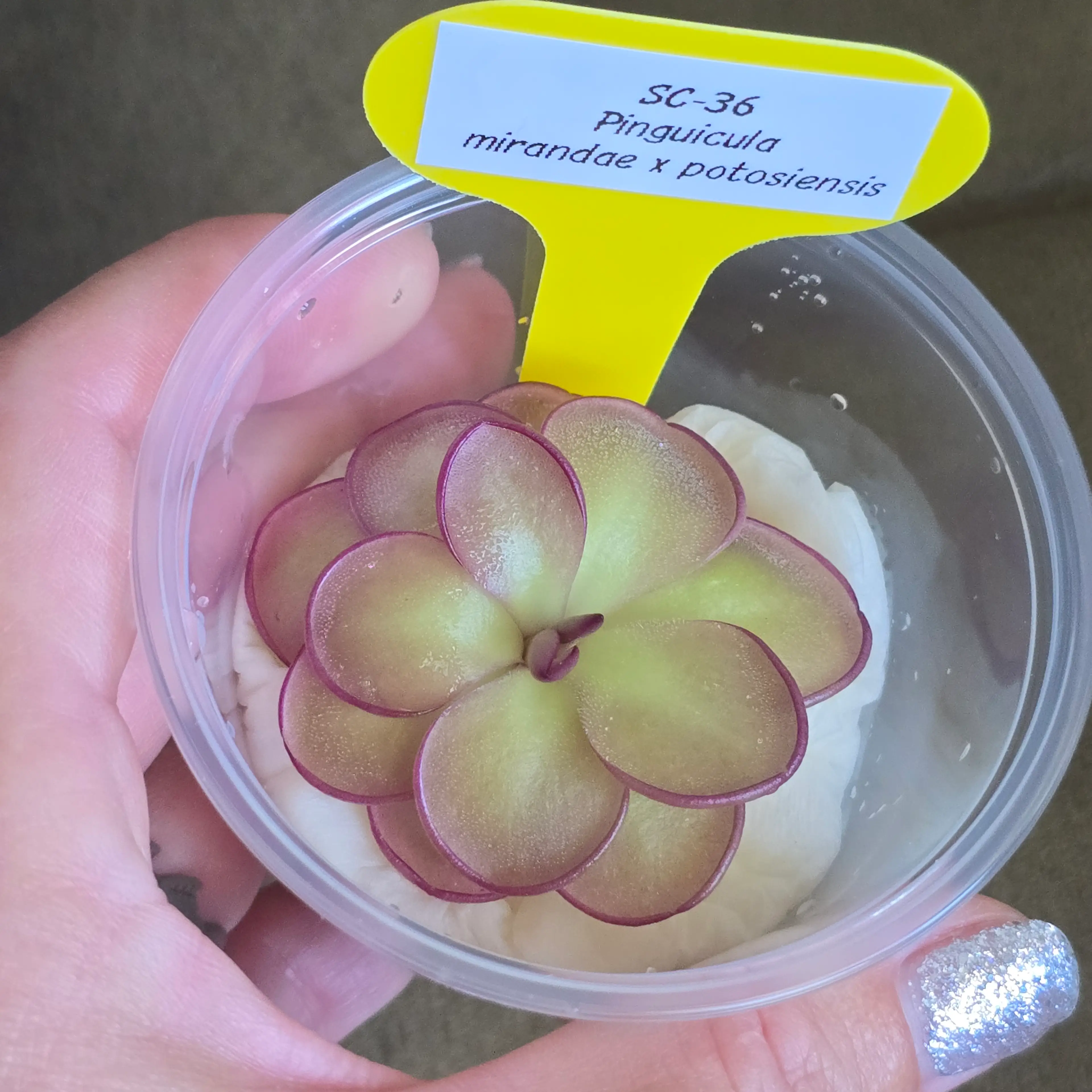 Image 1 of 3