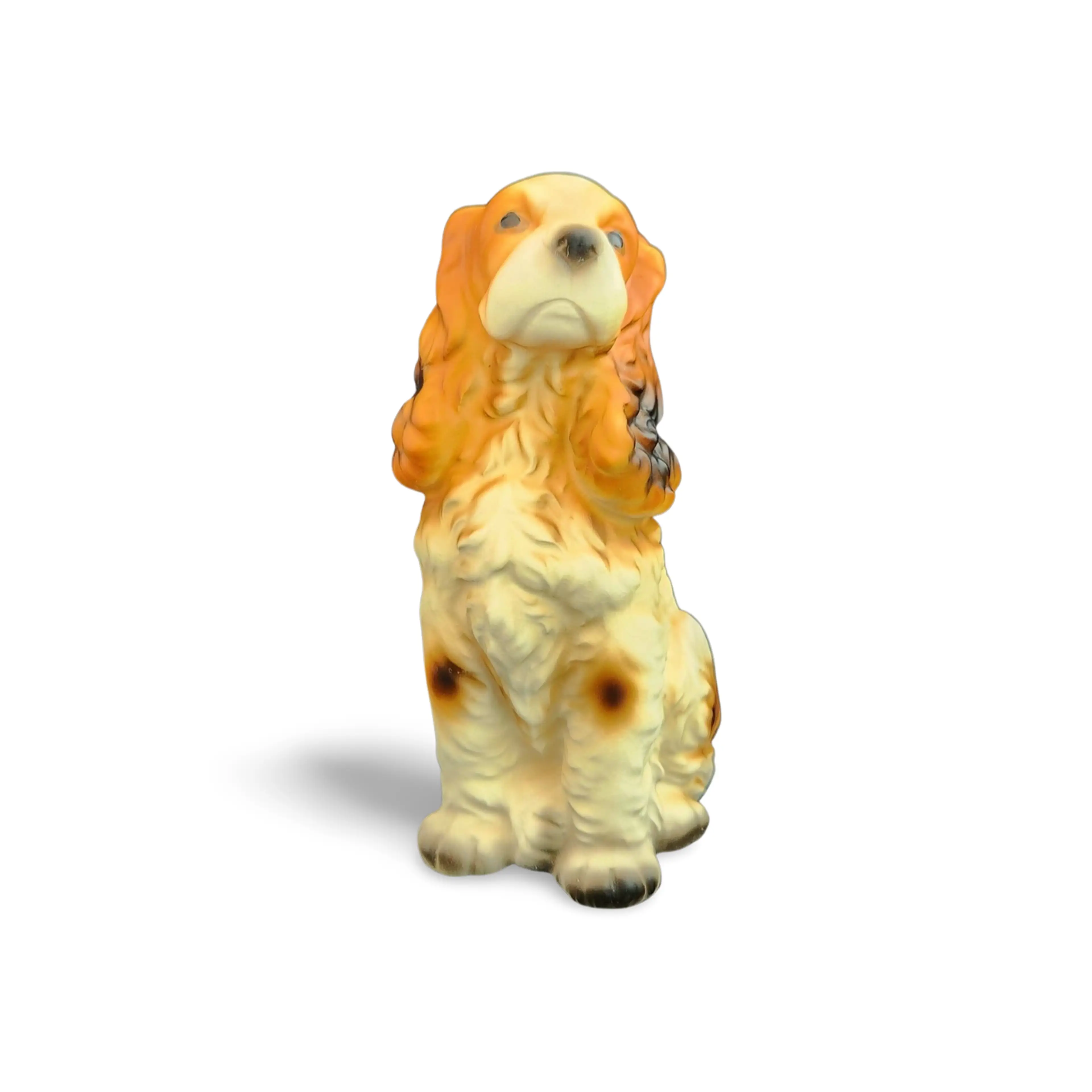 Image 4 of 14