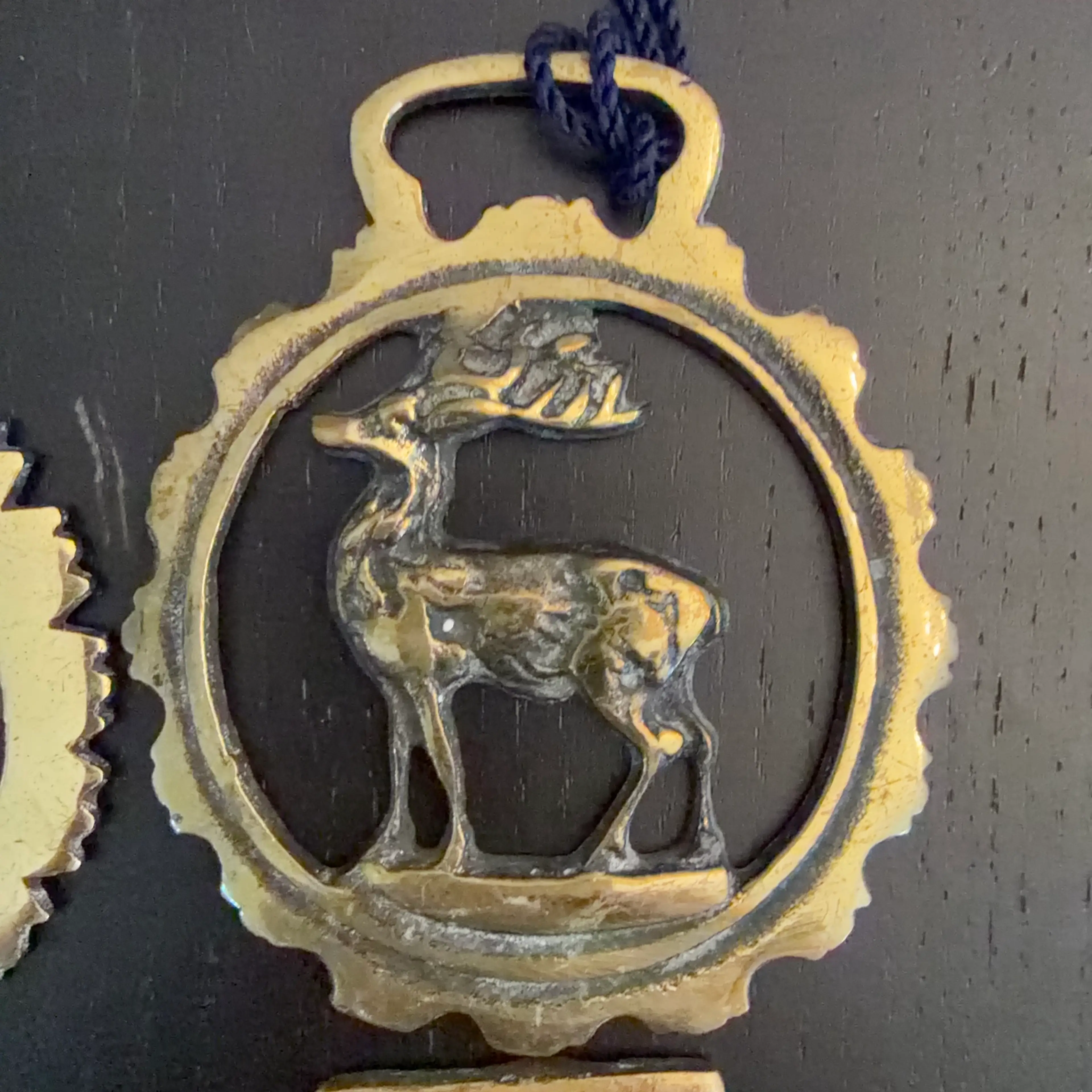 Image 3 of 24