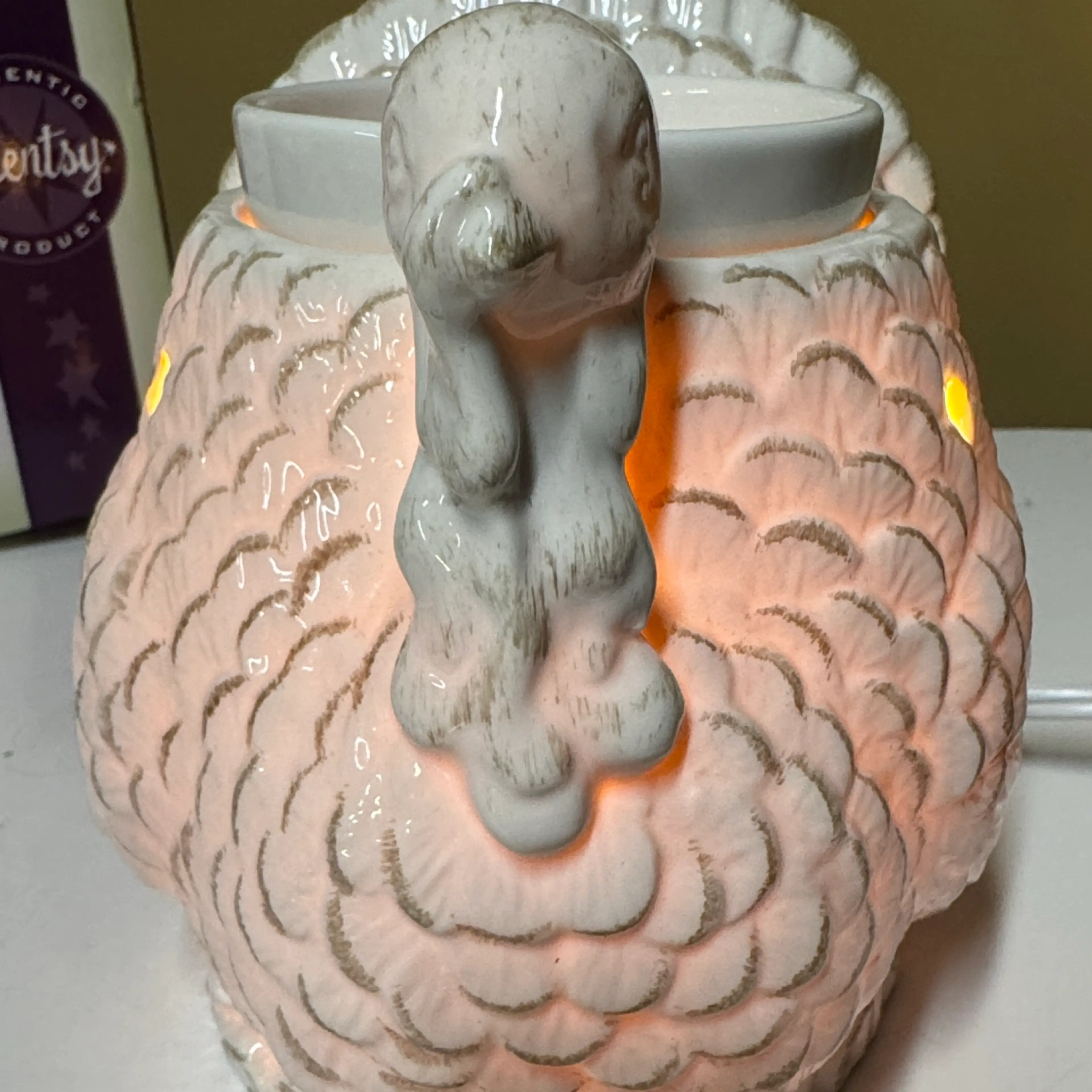 Image 3 of 16