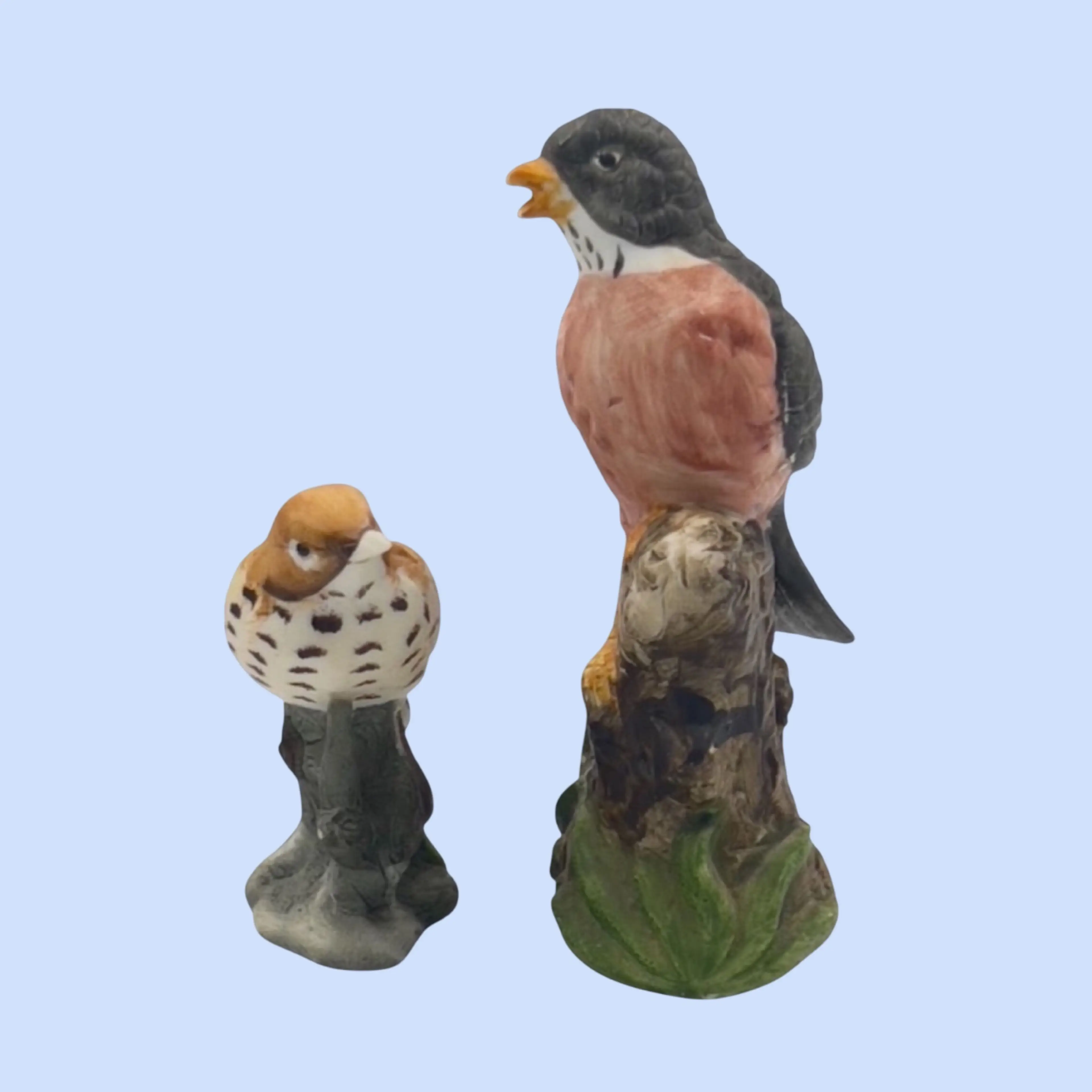Image 1 of 8