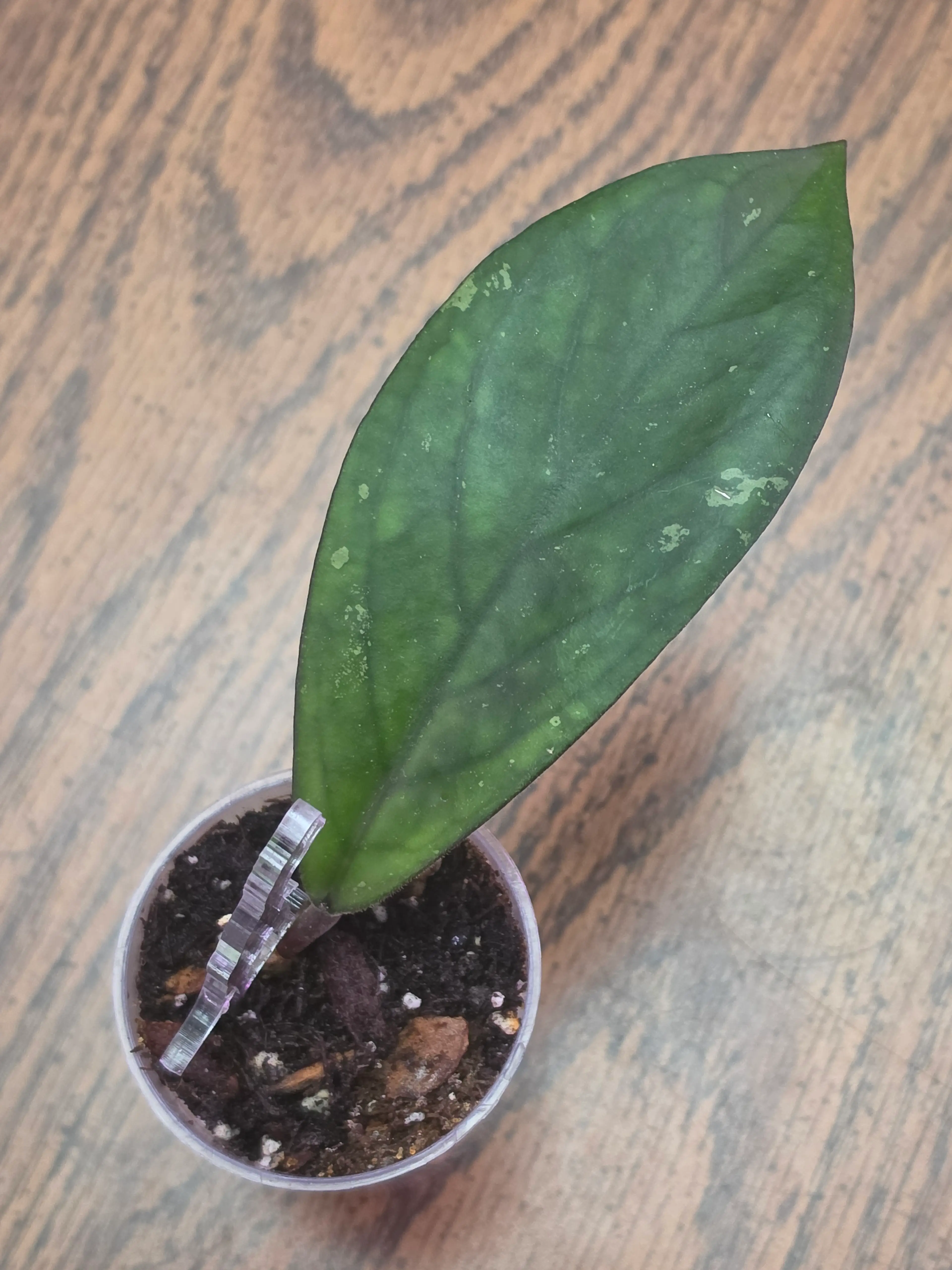 Image 1 of 3
