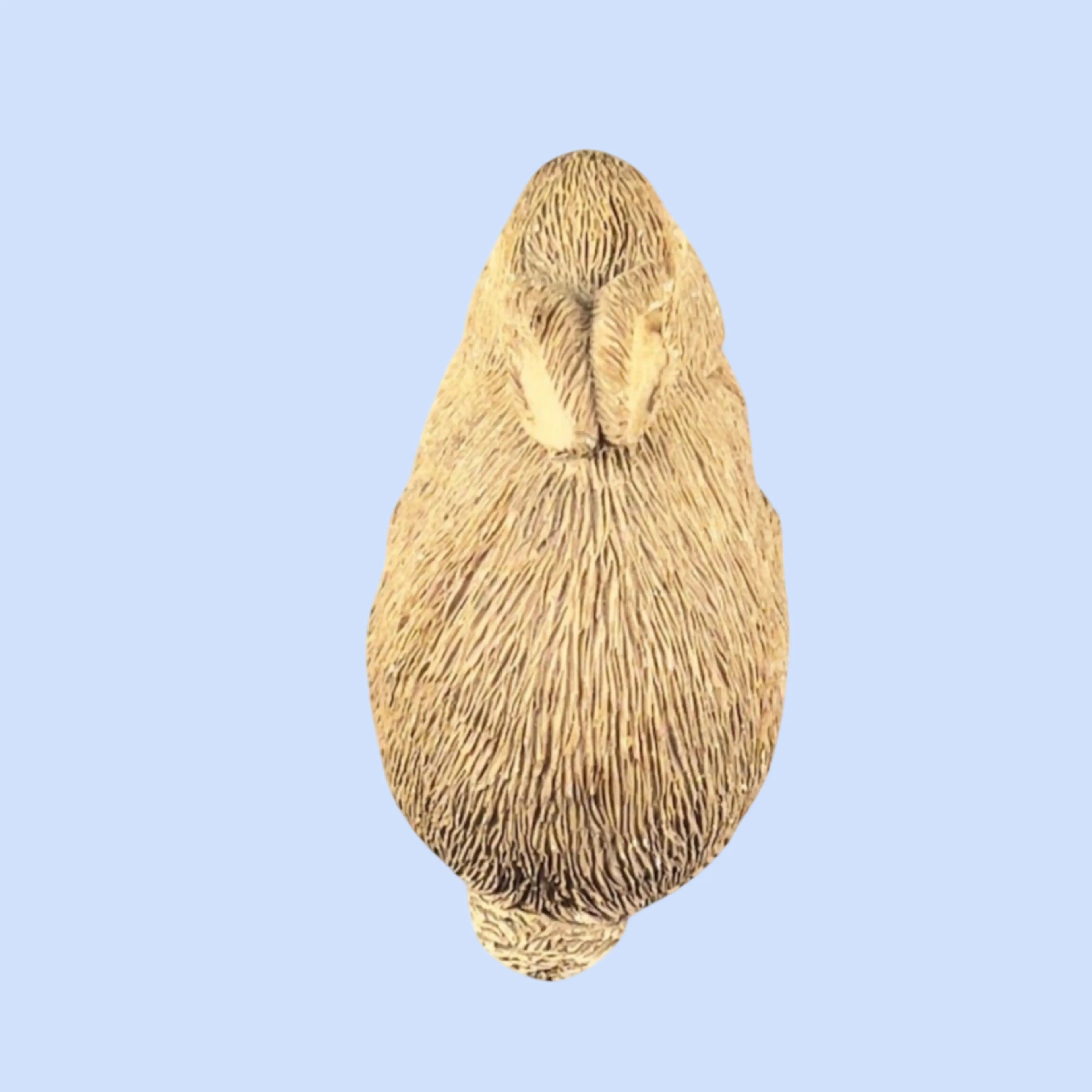 Image 5 of 9
