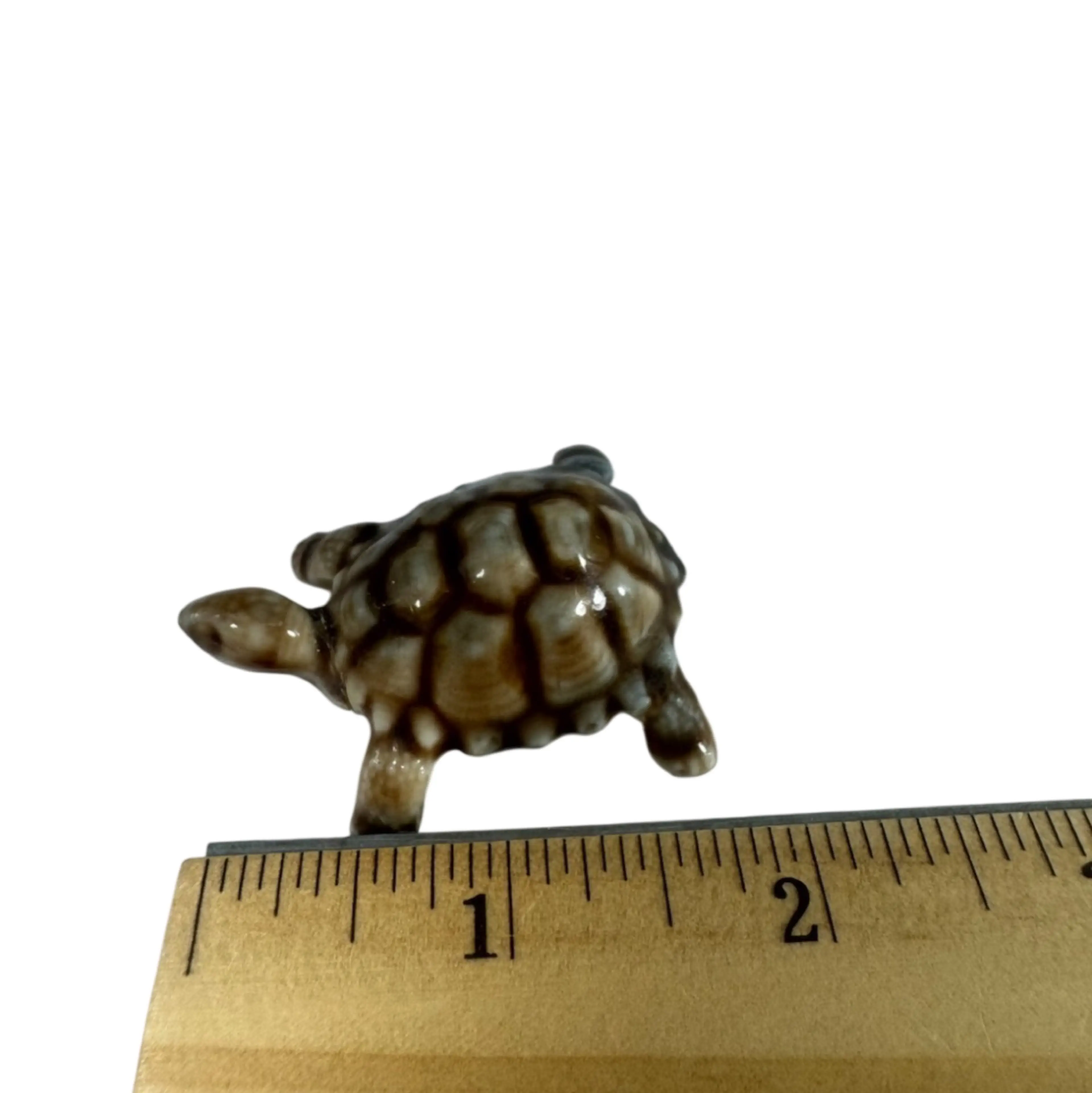 Image 5 of 5