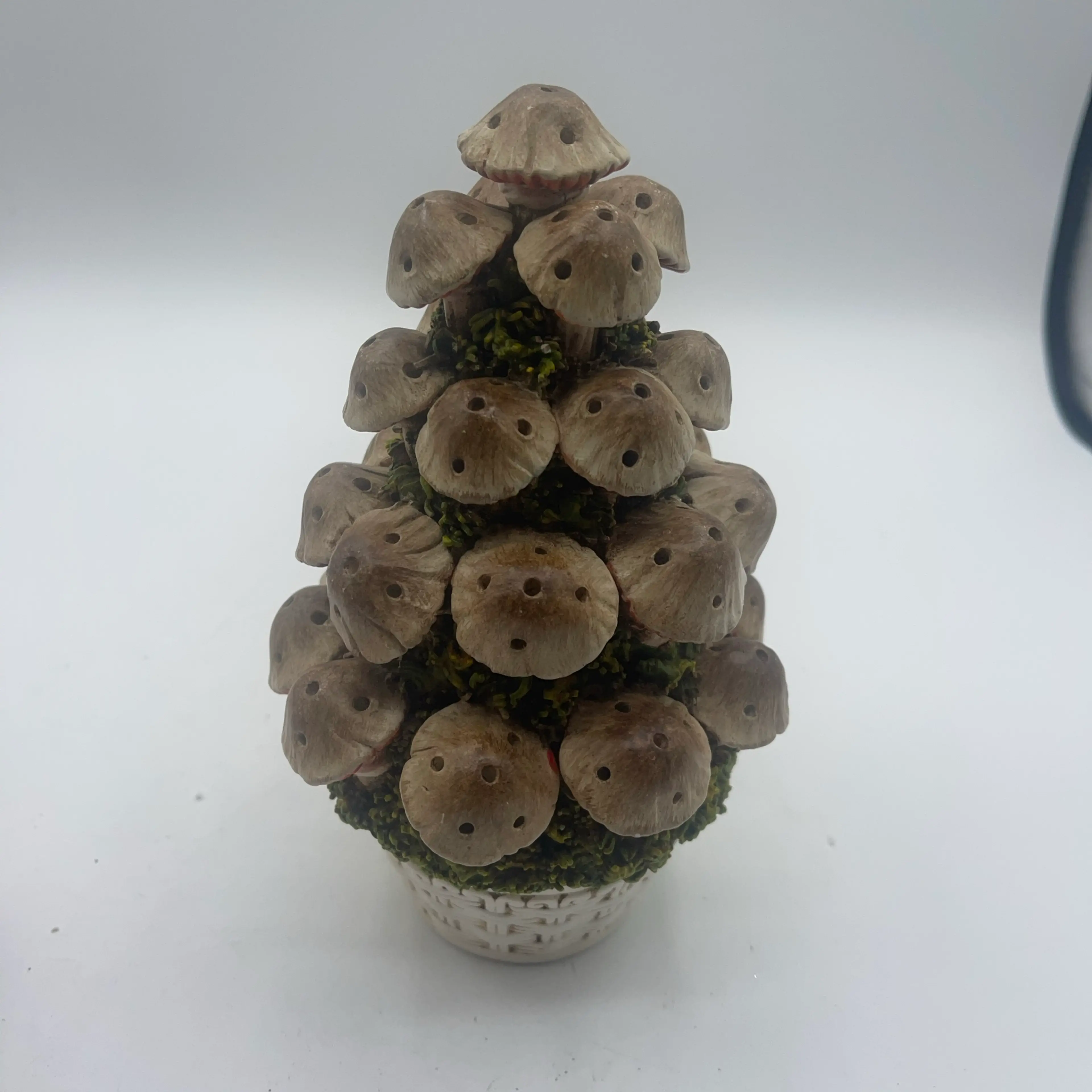 Image 1 of 7