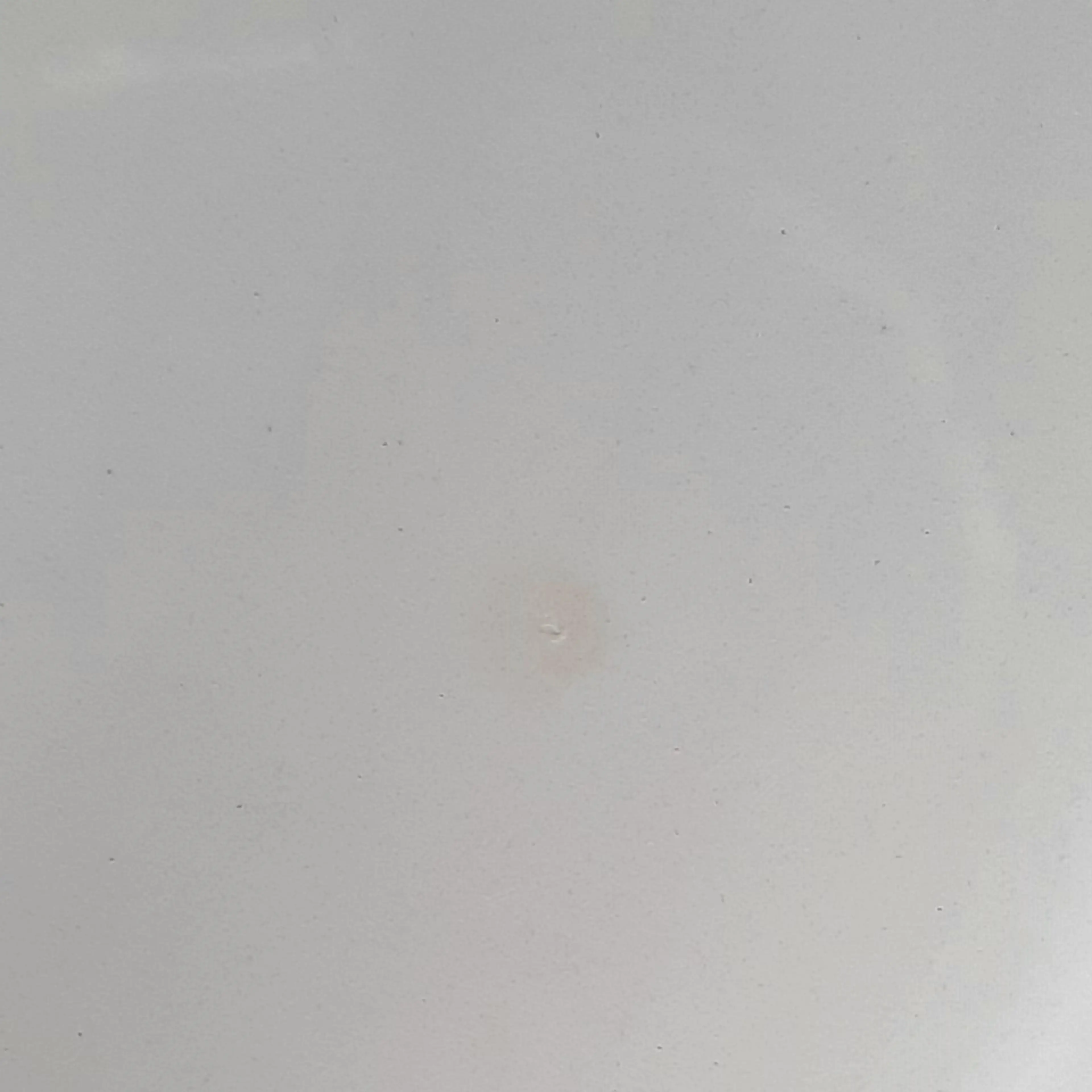 Image 5 of 10