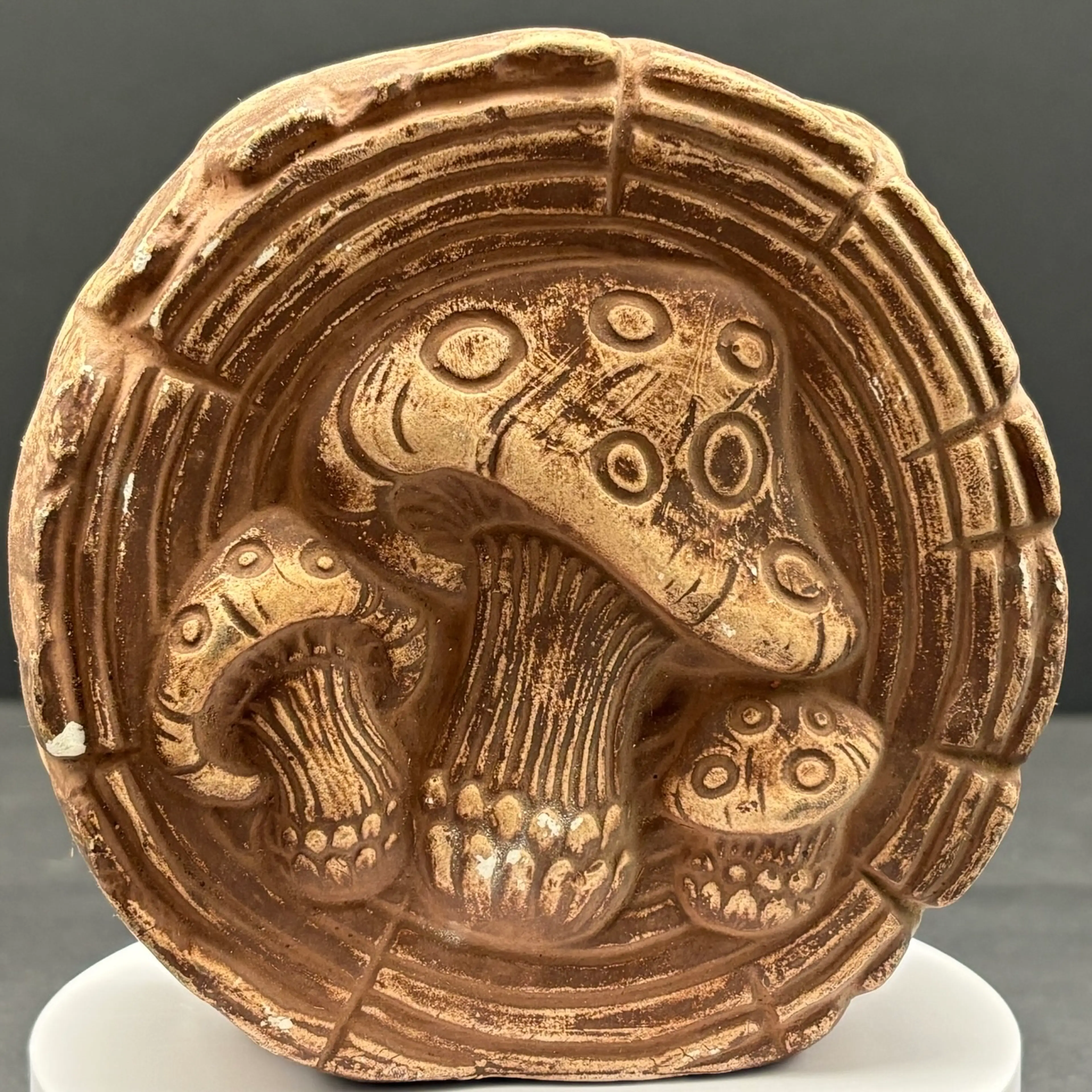 Image 1 of 19