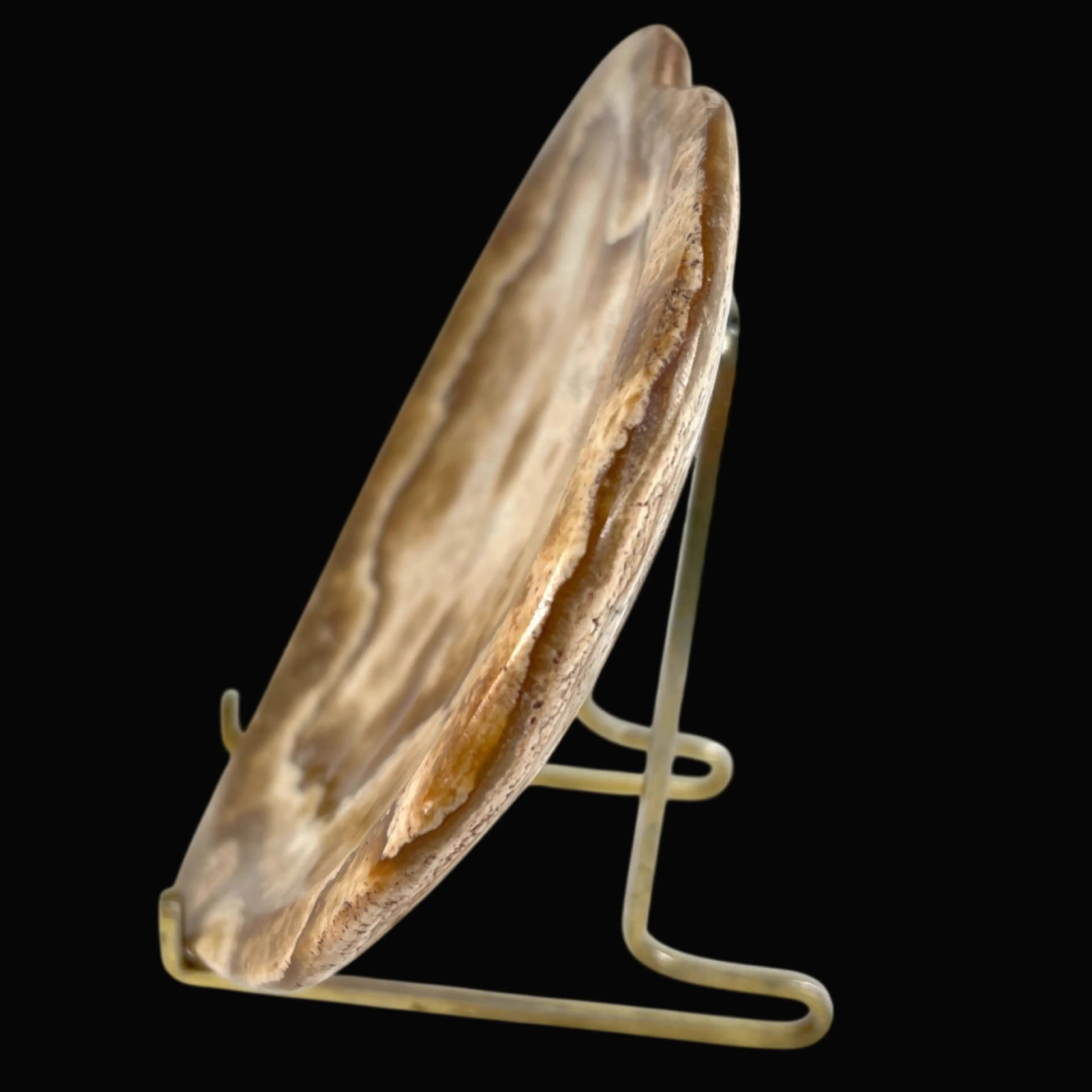 Image 4 of 7