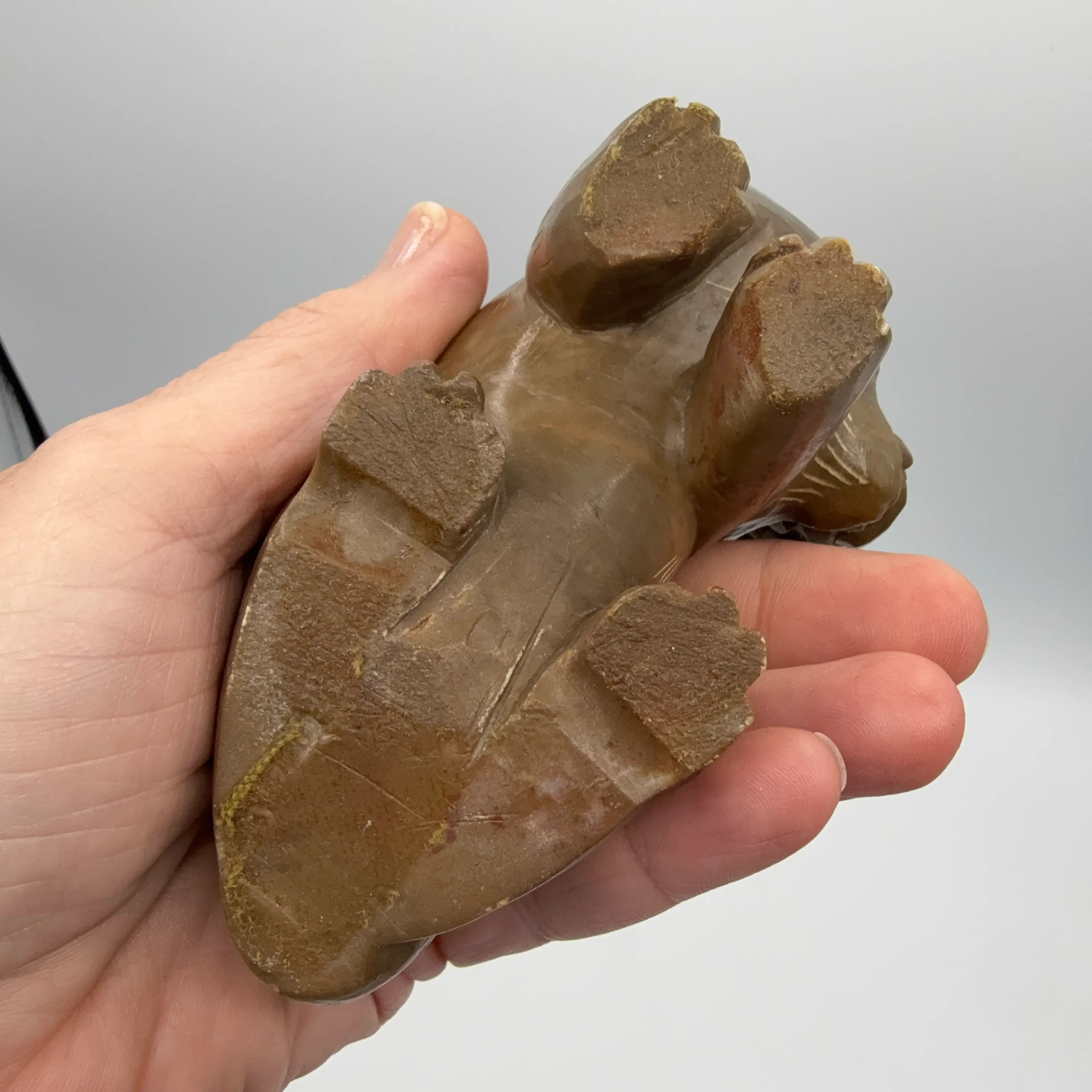 Image 4 of 5