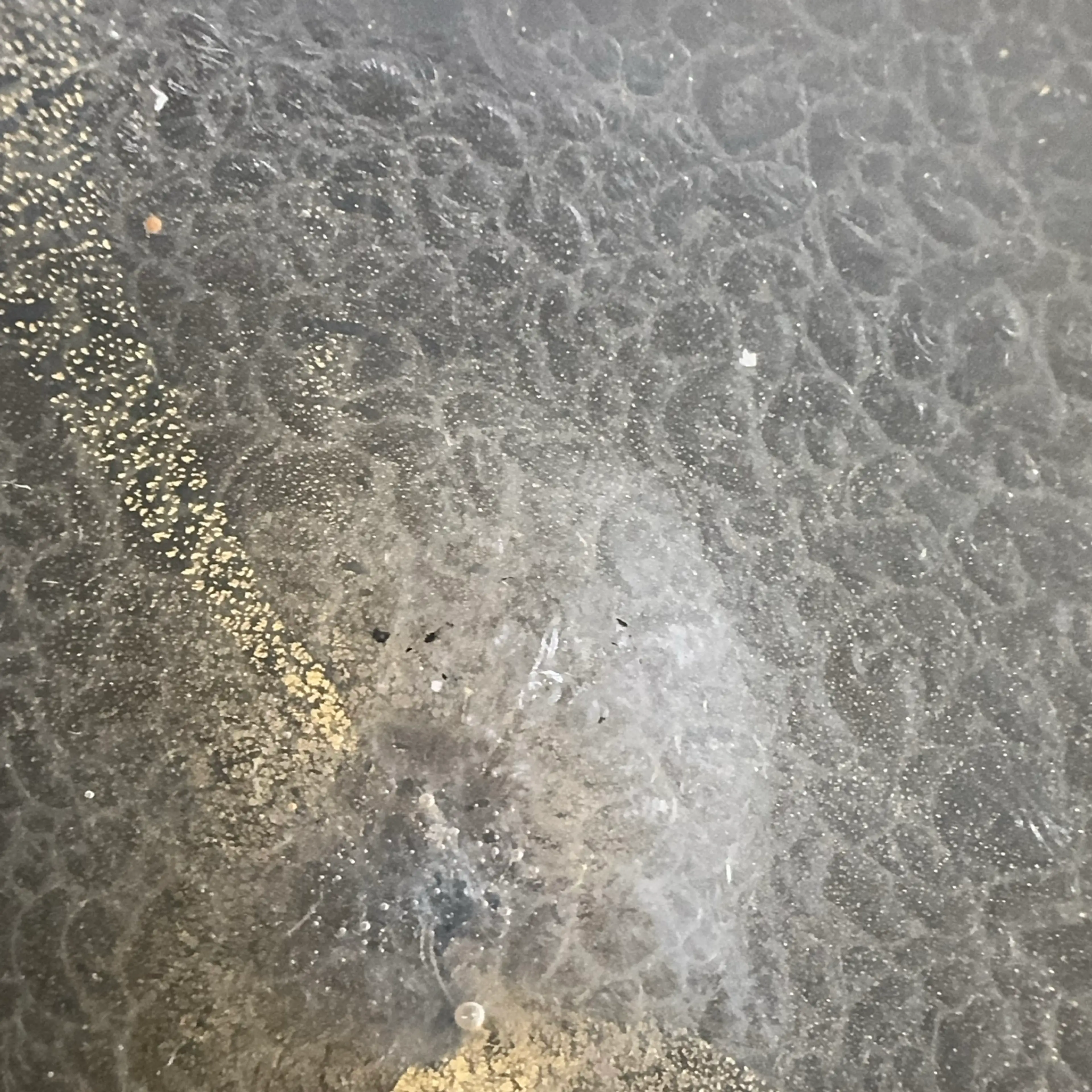 Image 3 of 3
