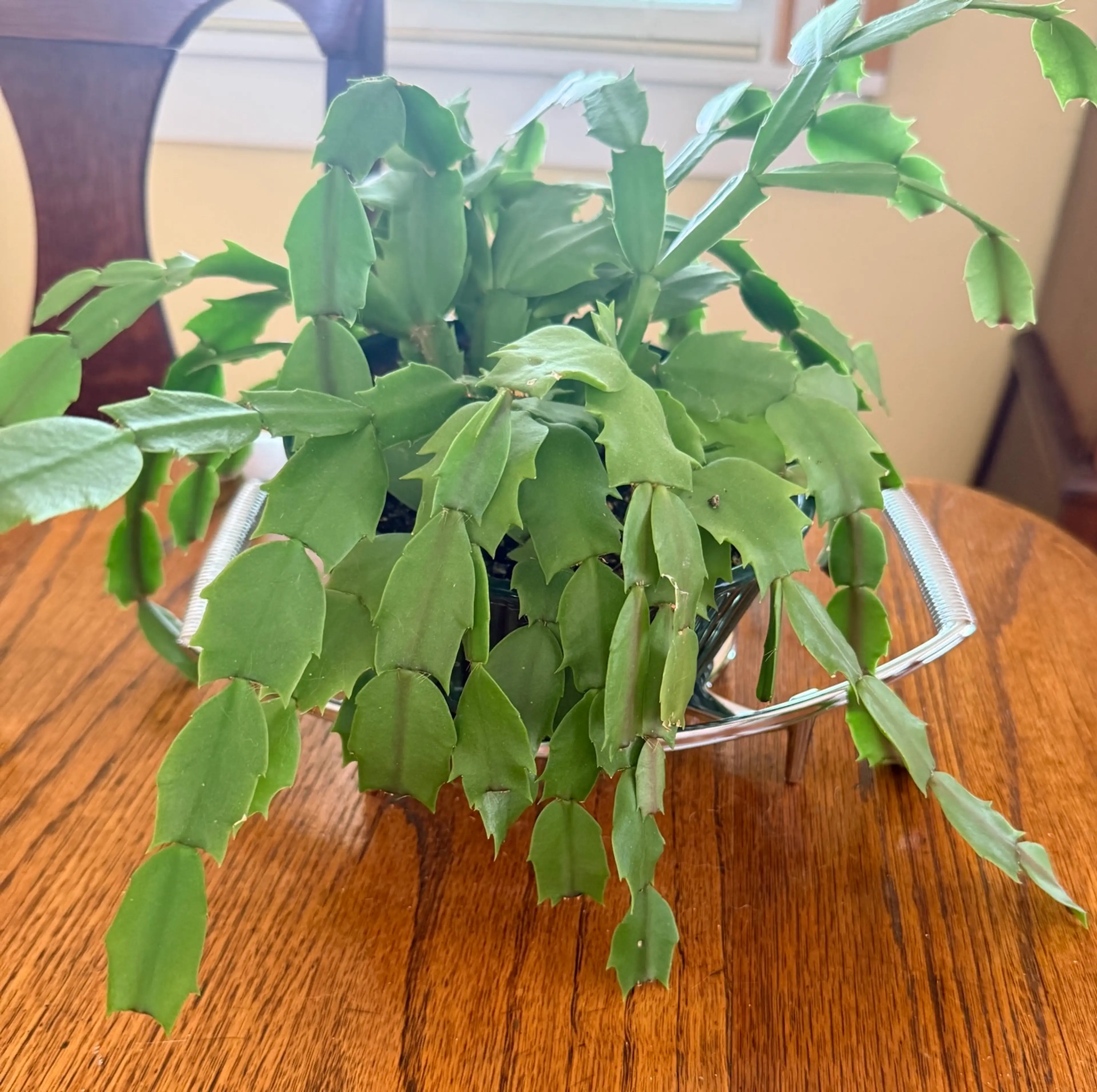 Image 3 of 5