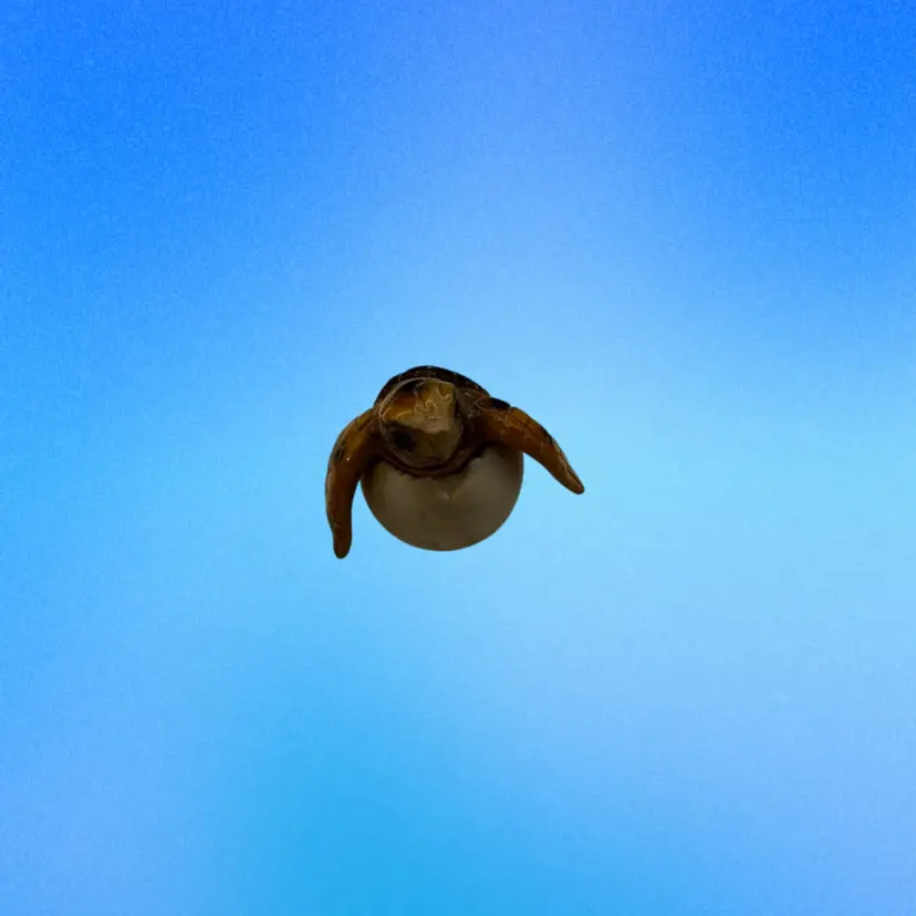 033 Baby Turtle
