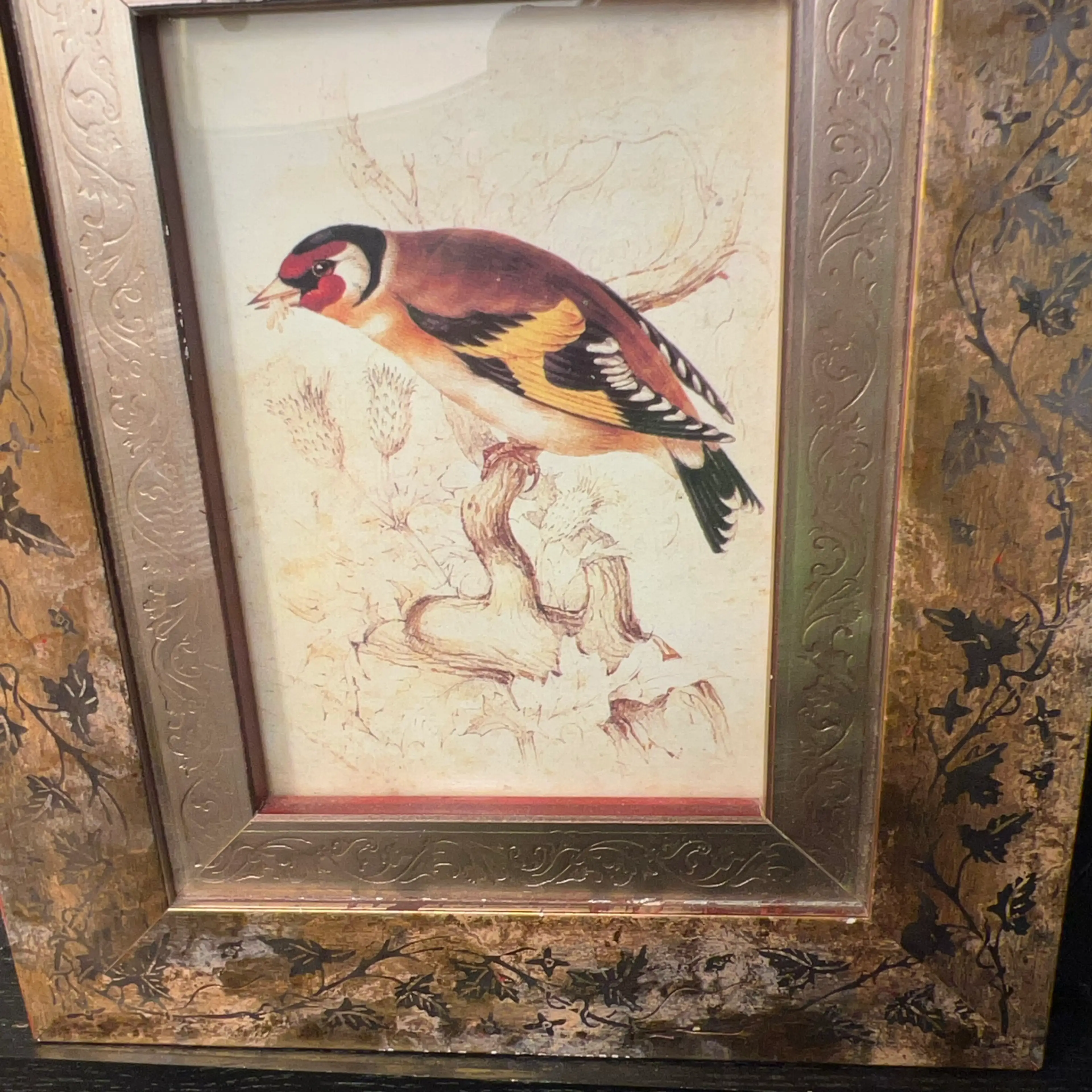 Image 3 of 8