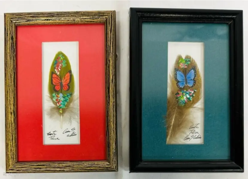 Stunning Hand-Painted Feather Art by Ana S. Cordero – Costa Rican Butterfly Motifs, FramedHand-Painted Feather Art by Ana S. Cordero – Costa Rican Butterfly Motifs, Framed