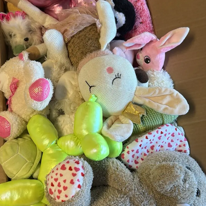 Large Baby Toy and Plush lot