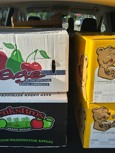 Pop Up Auction Mystery Boxes, Let’s Dig