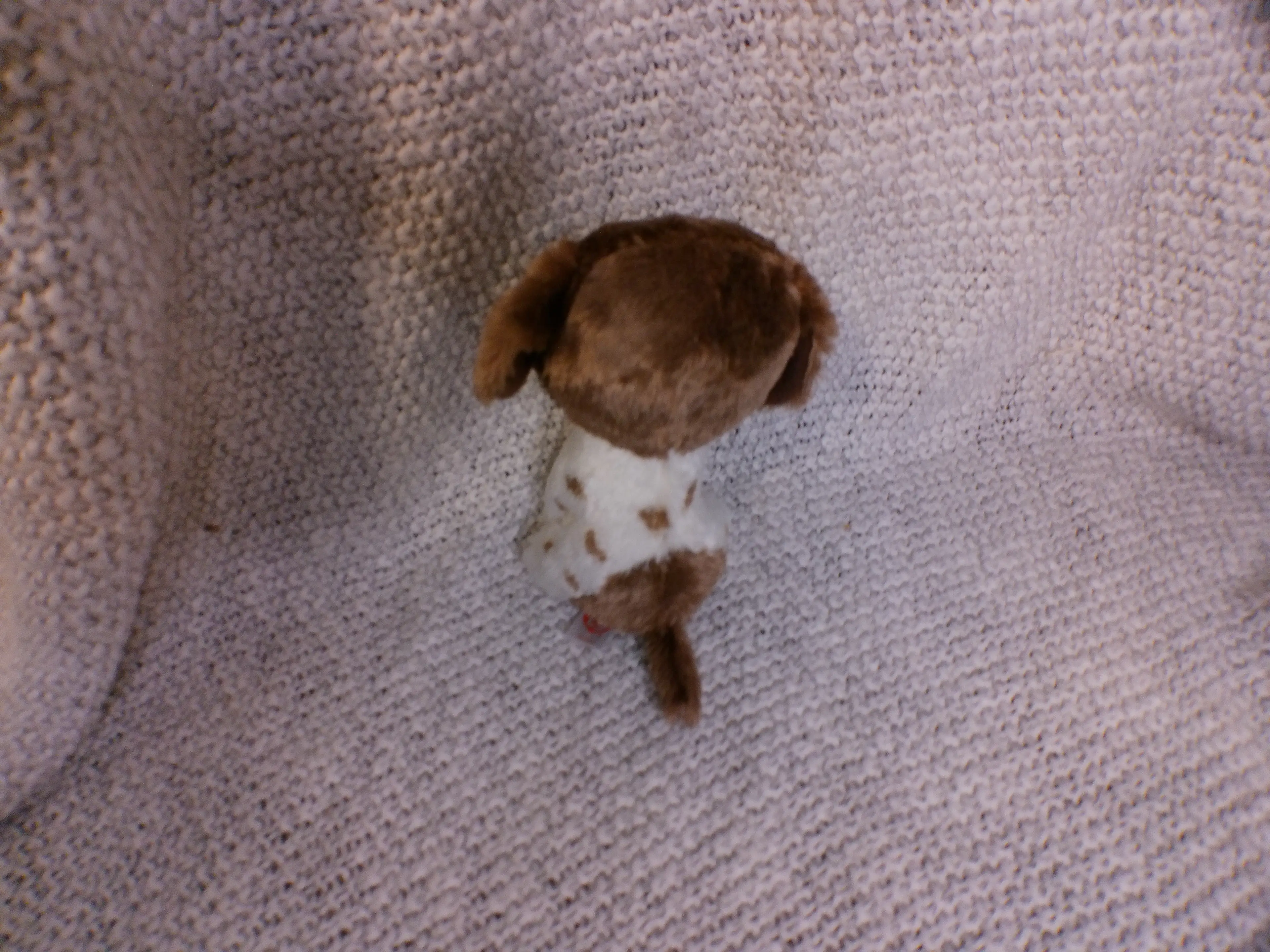 Image 2 of 3