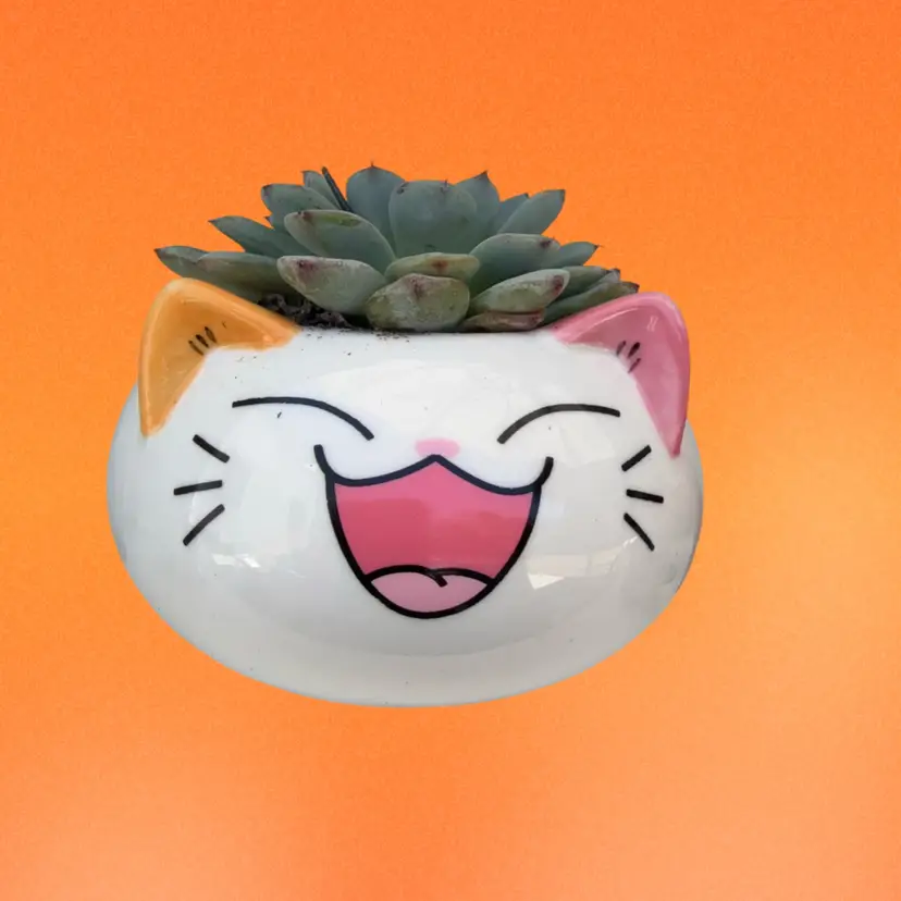 Succulent Happy Cat Planter