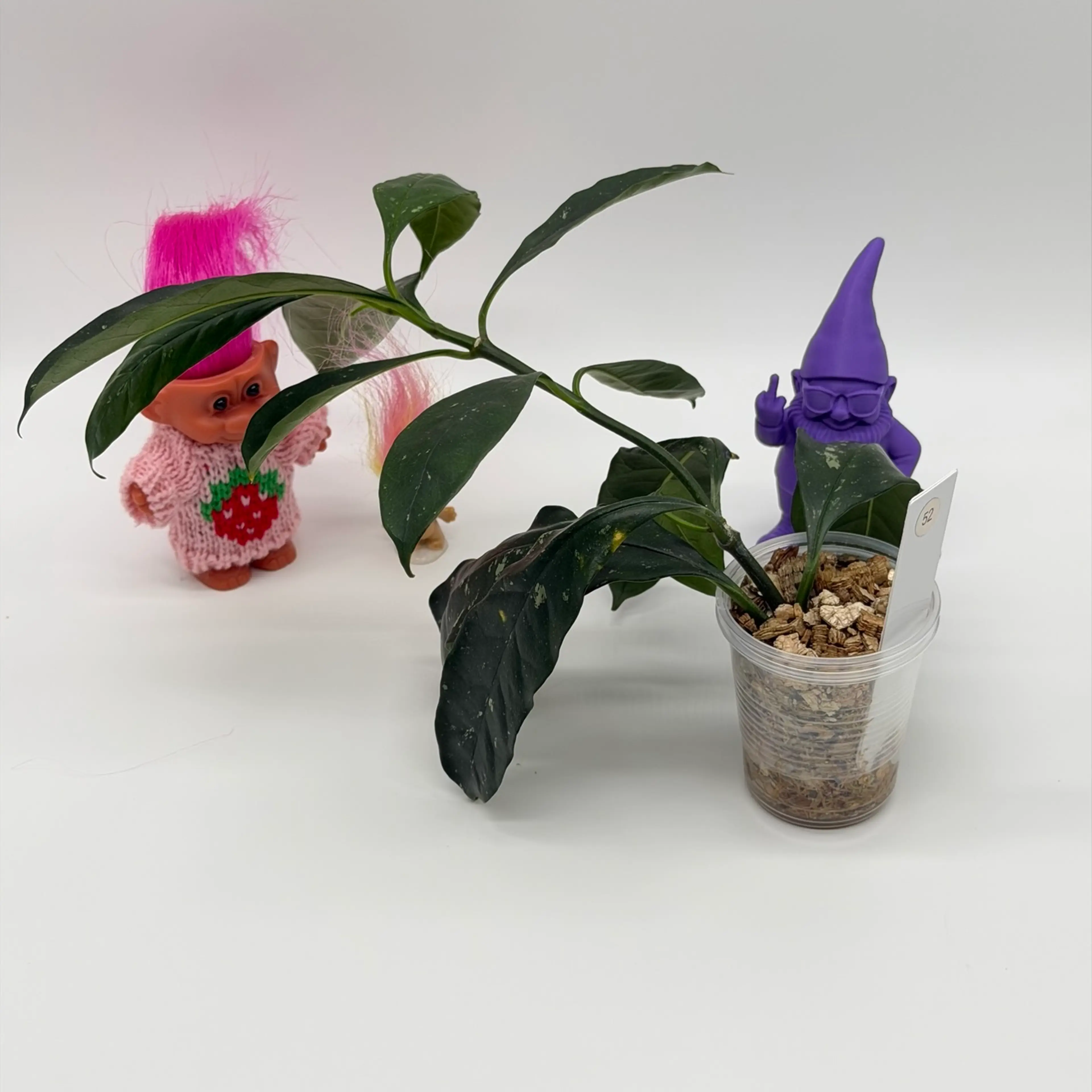 Image 3 of 3
